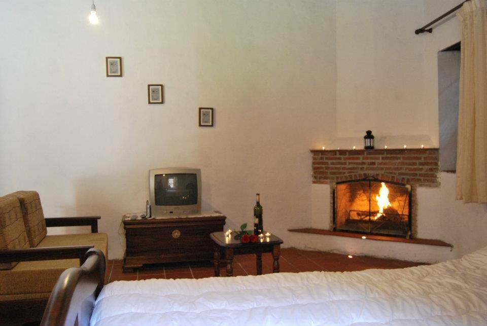 Deluxe One-Bedroom Apartment photo 3