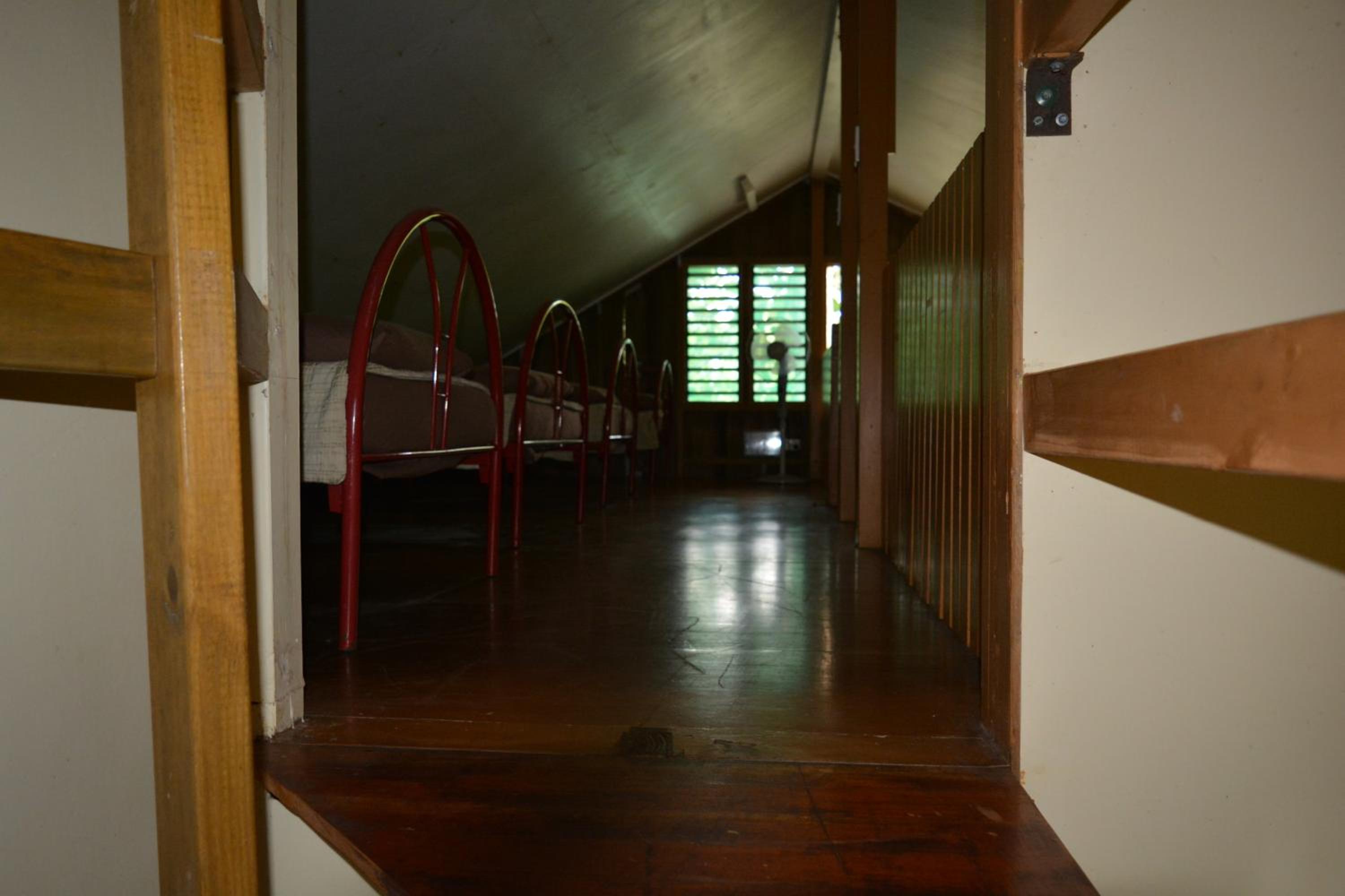 Family Bure with Forest View photo 5