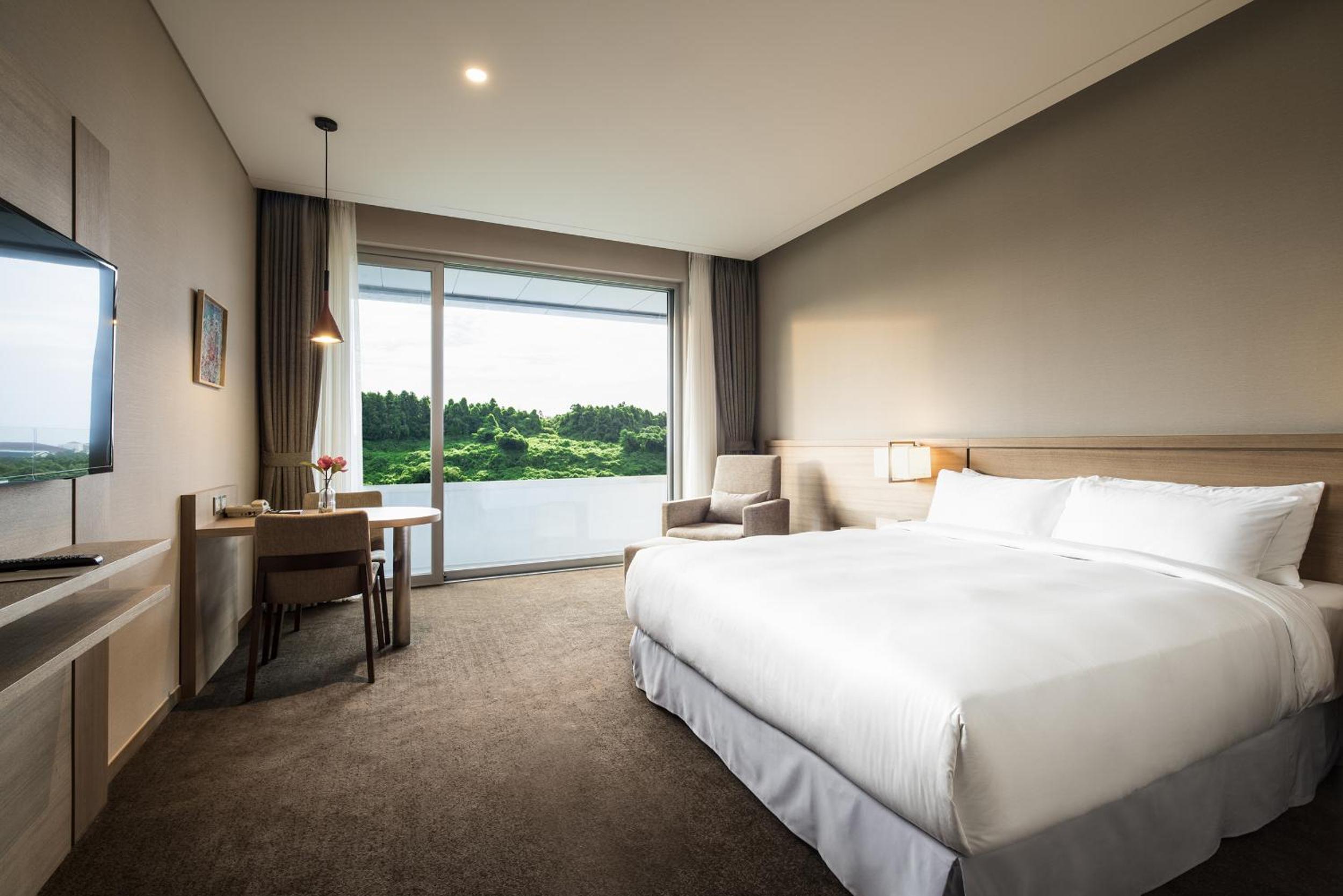 Deluxe Double Room with Panorama View