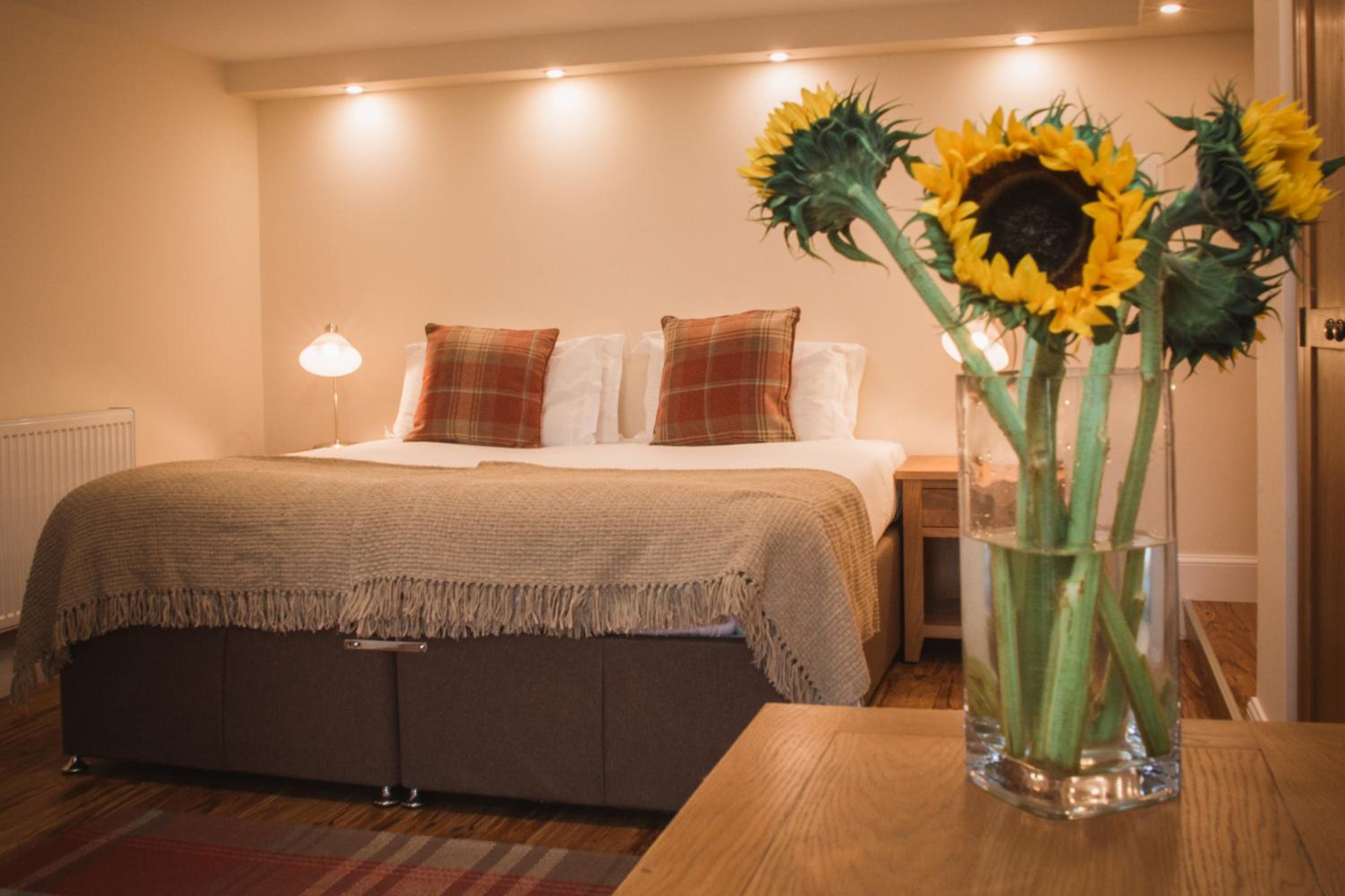 Superior Deluxe Double or Twin Room