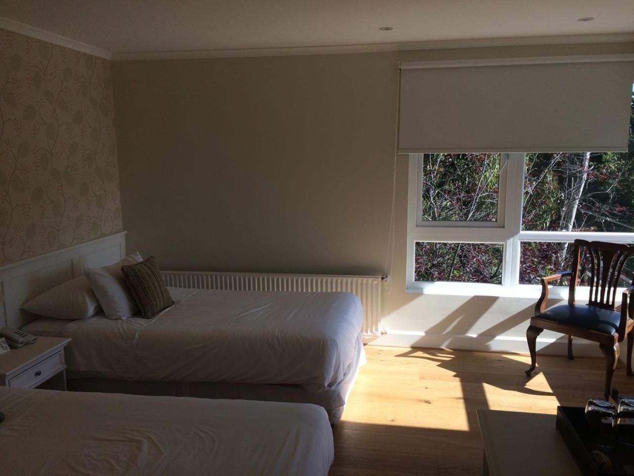 Twin Room photo 2