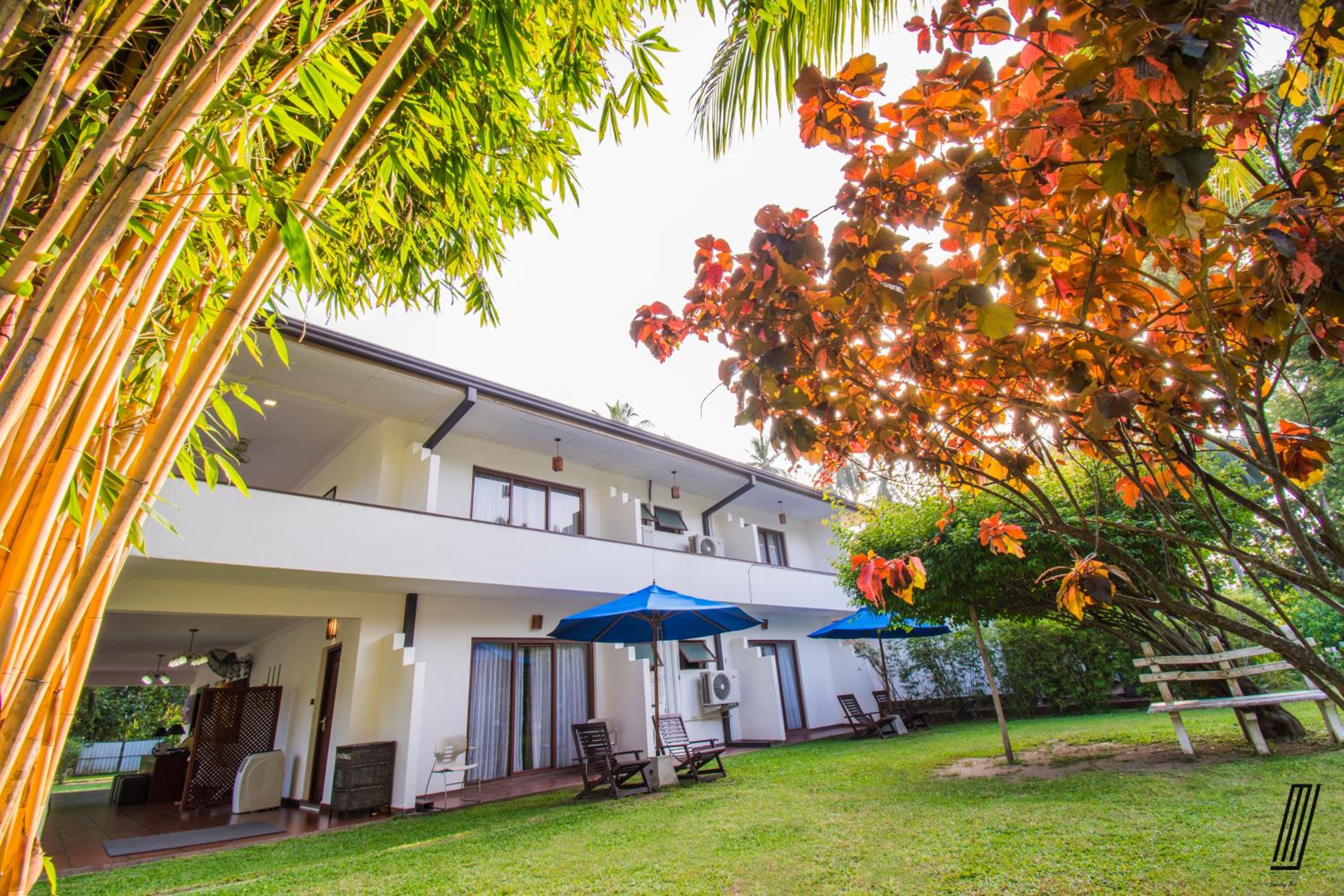 Deluxe Bungalow with Garden View photo 2