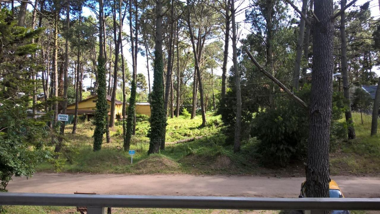 Apartment with Garden View photo 3