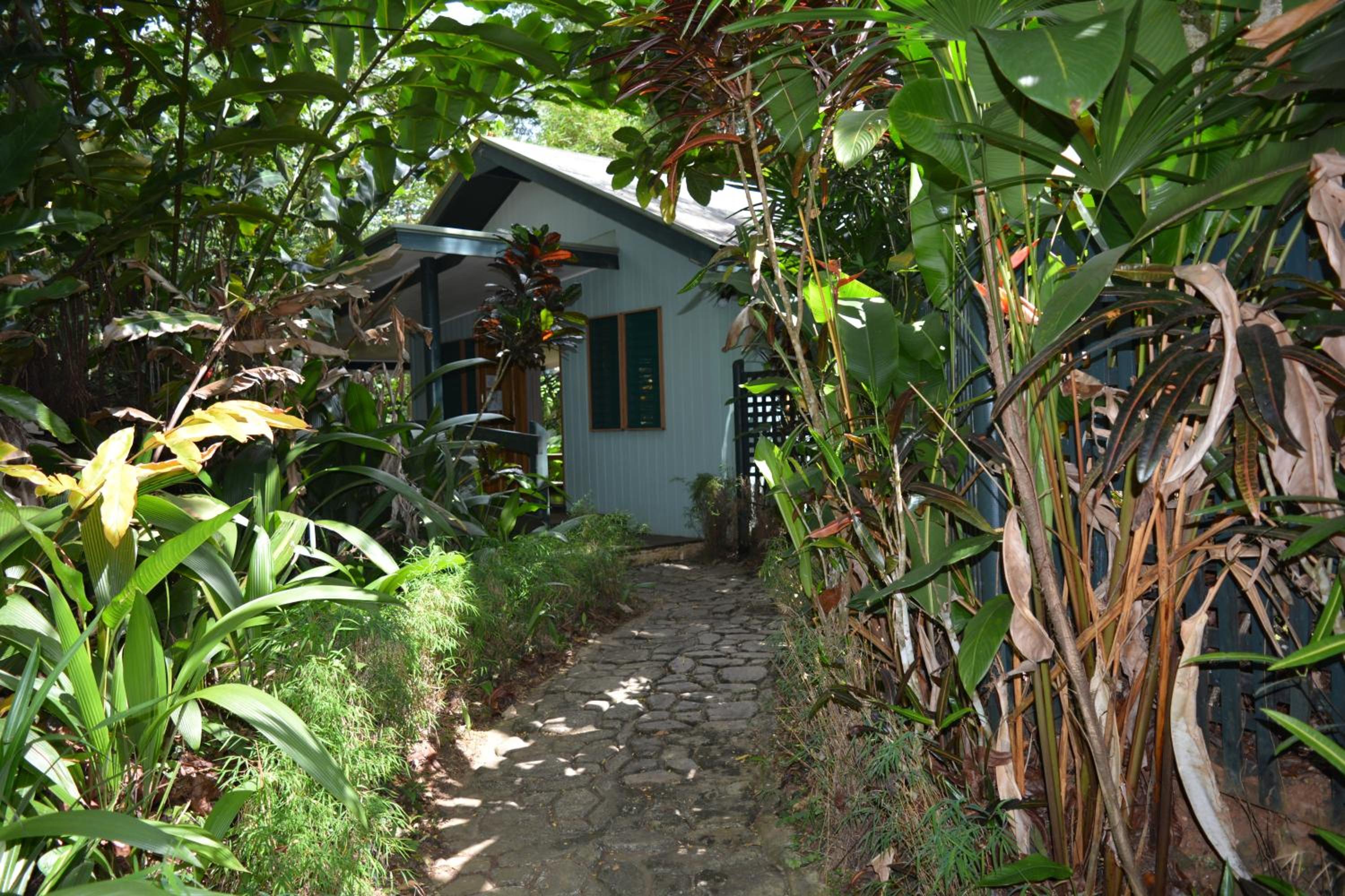 Queen Bure with Forest View photo 10