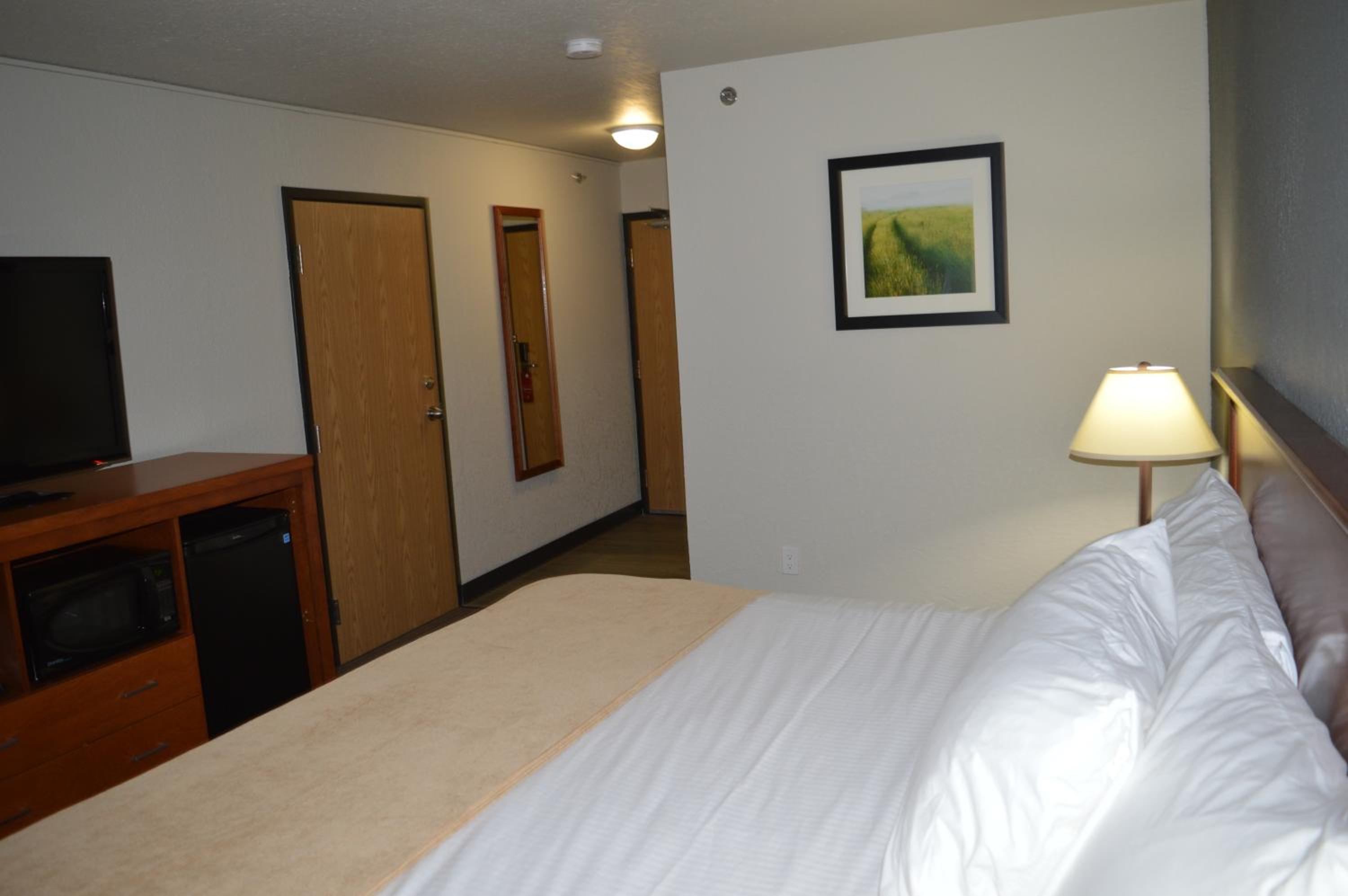 King Room with Tub with Grab Bars - Mobility and Hearing Access/Non-Smoking - Photo 4
