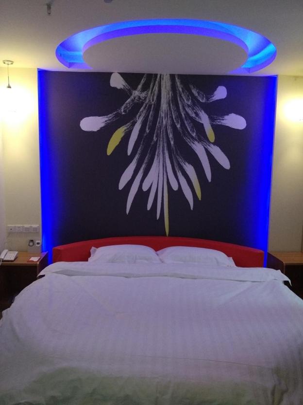Flavor Room with Round Bed photo 3