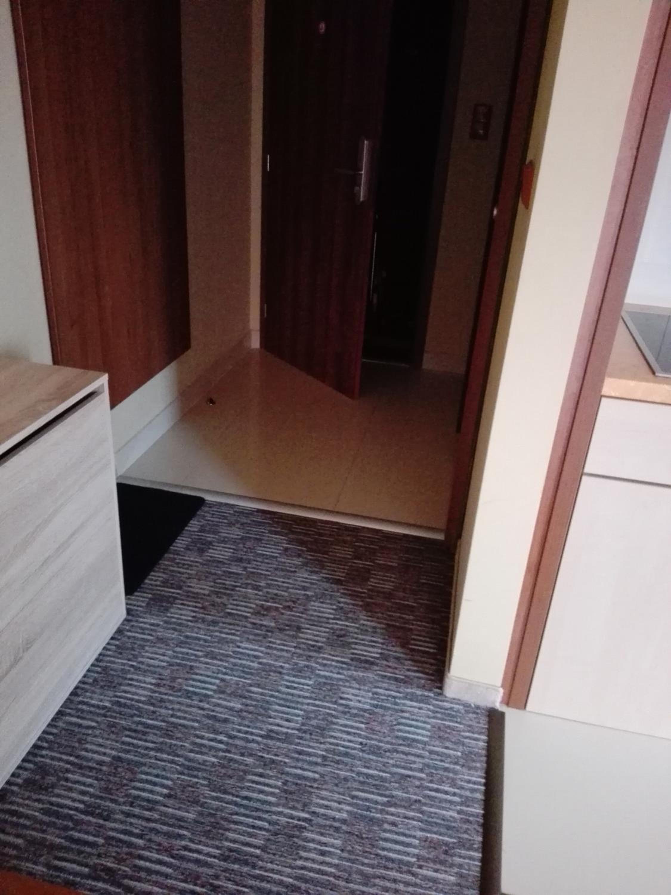 Apartment - Photo 42