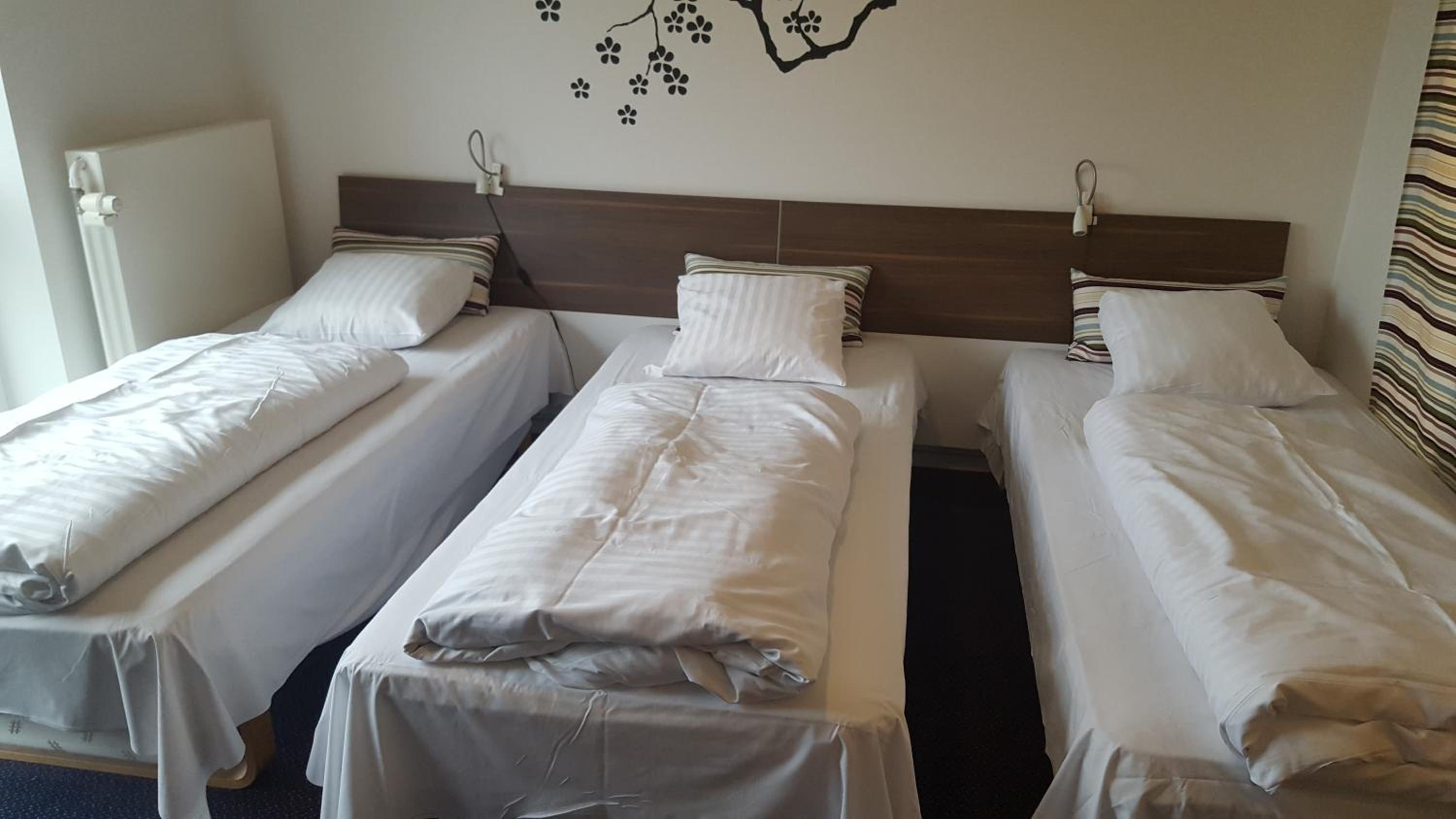 Comfort Triple Room with Shower photo 2