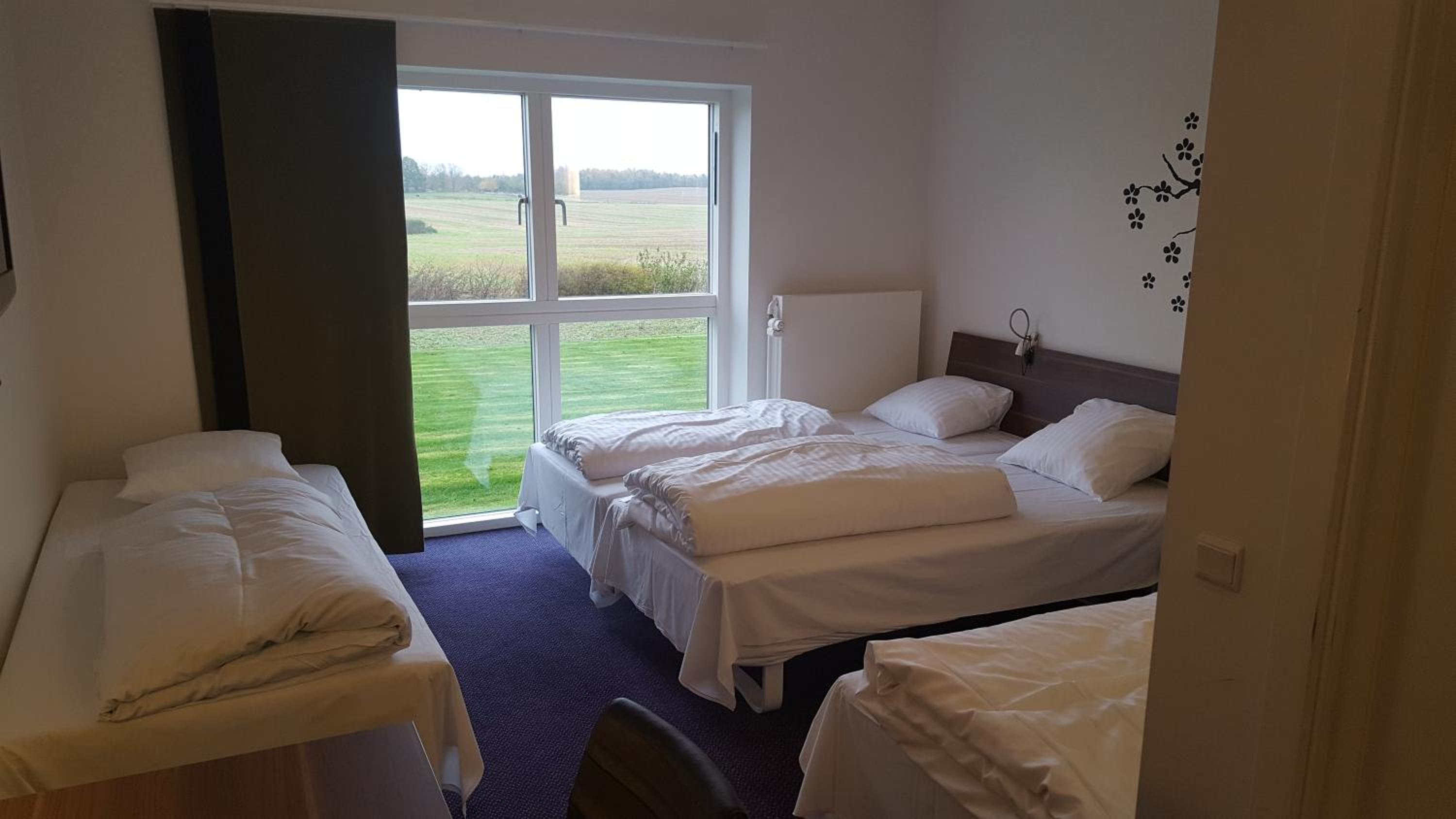 Comfort Quadruple Room photo 3