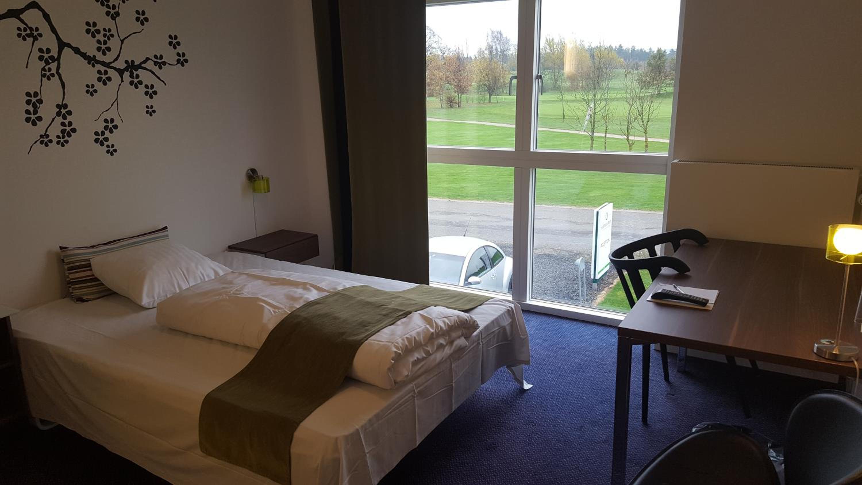Single Room photo 2