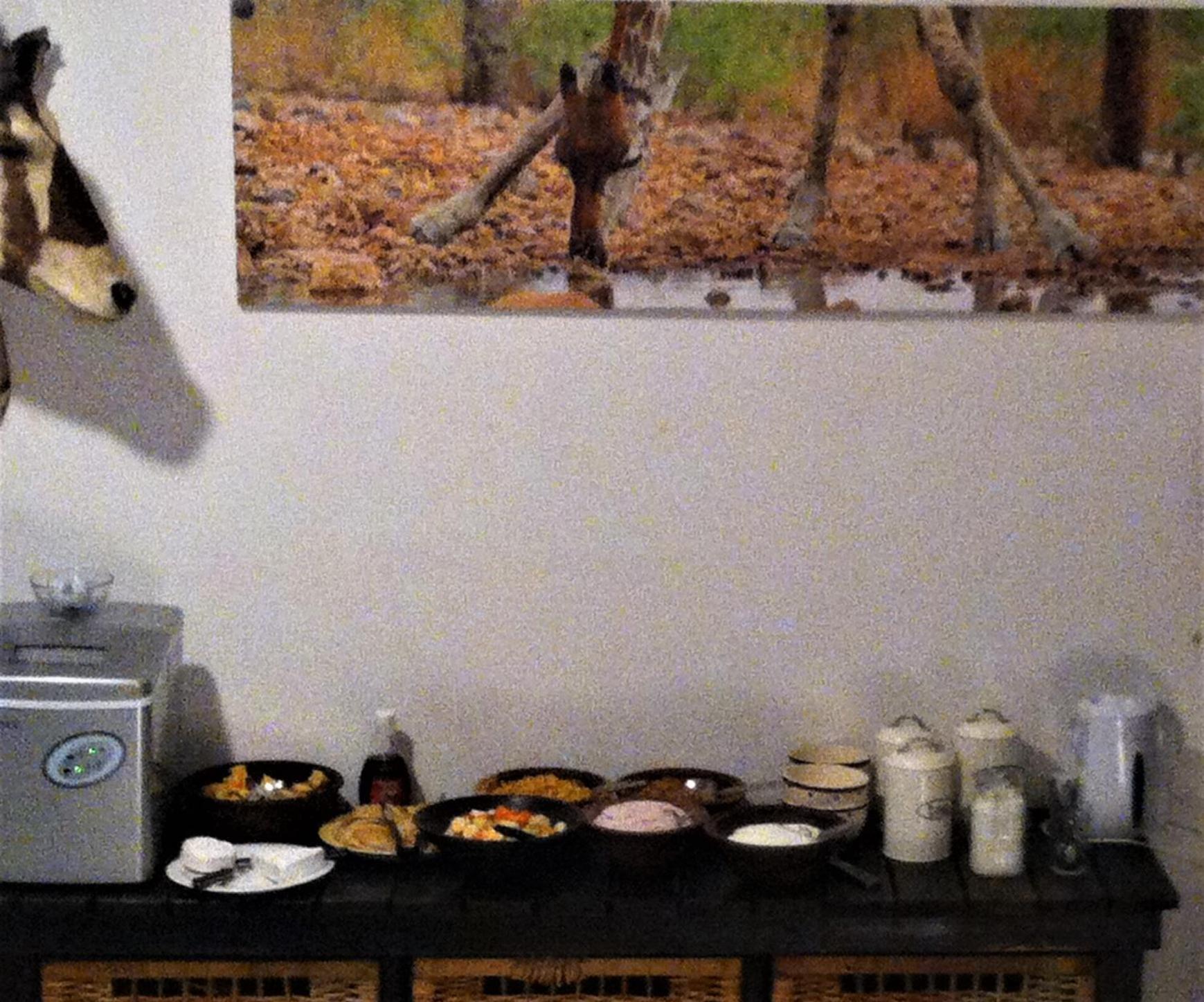 Twin Room - Leopard photo 3
