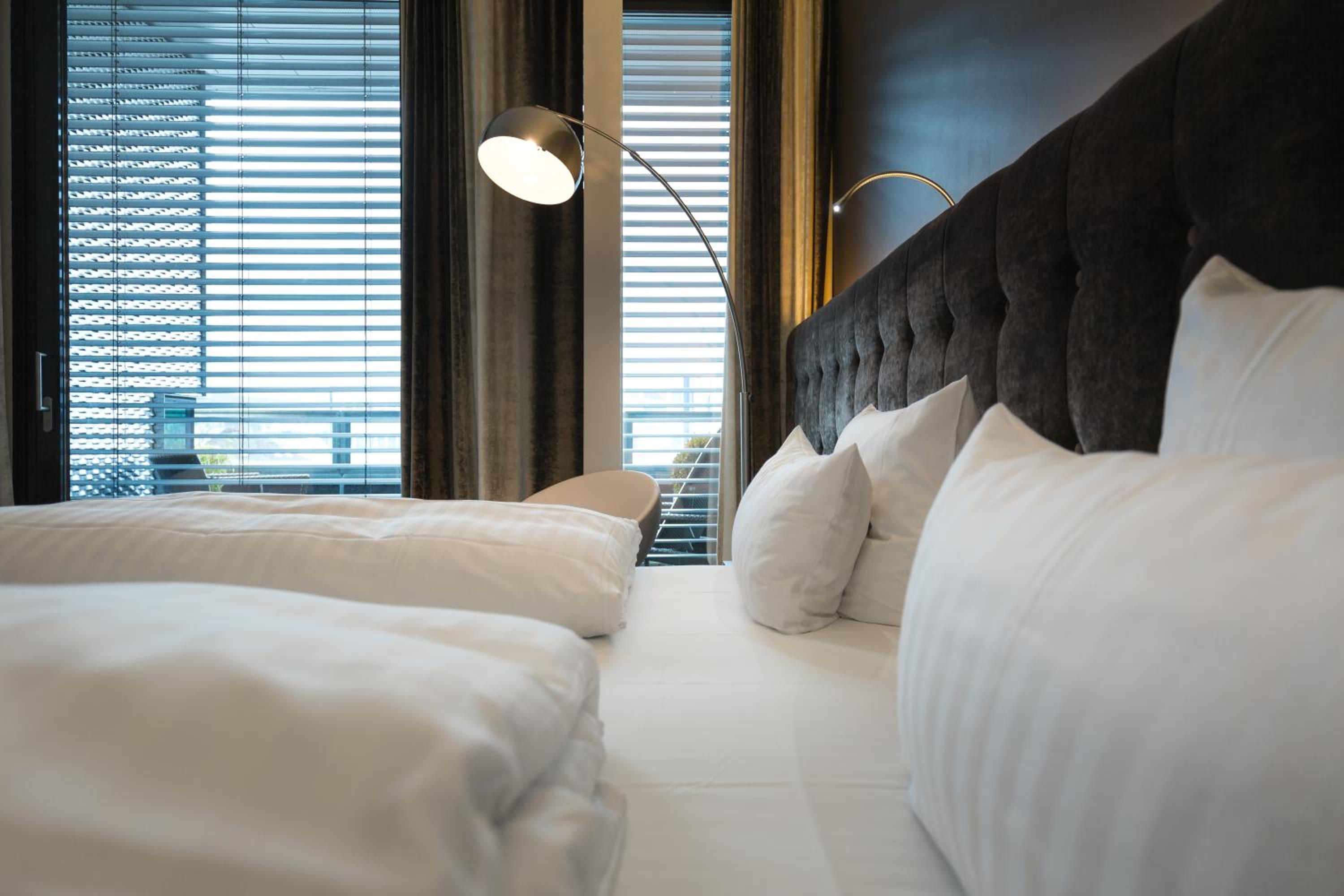 Suite - Photo 4