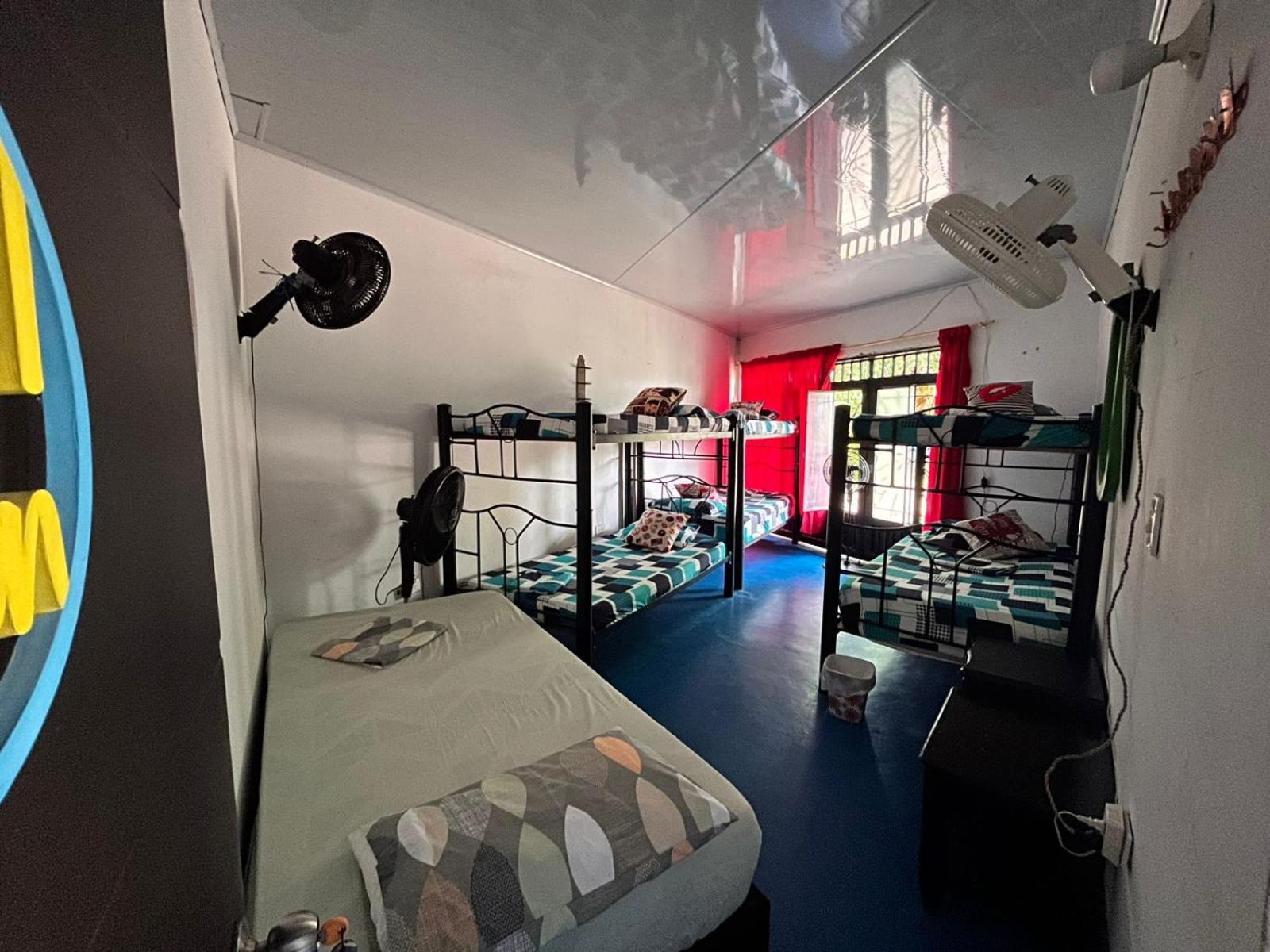 Bed in 6-Bed Mixed Dormitory Room