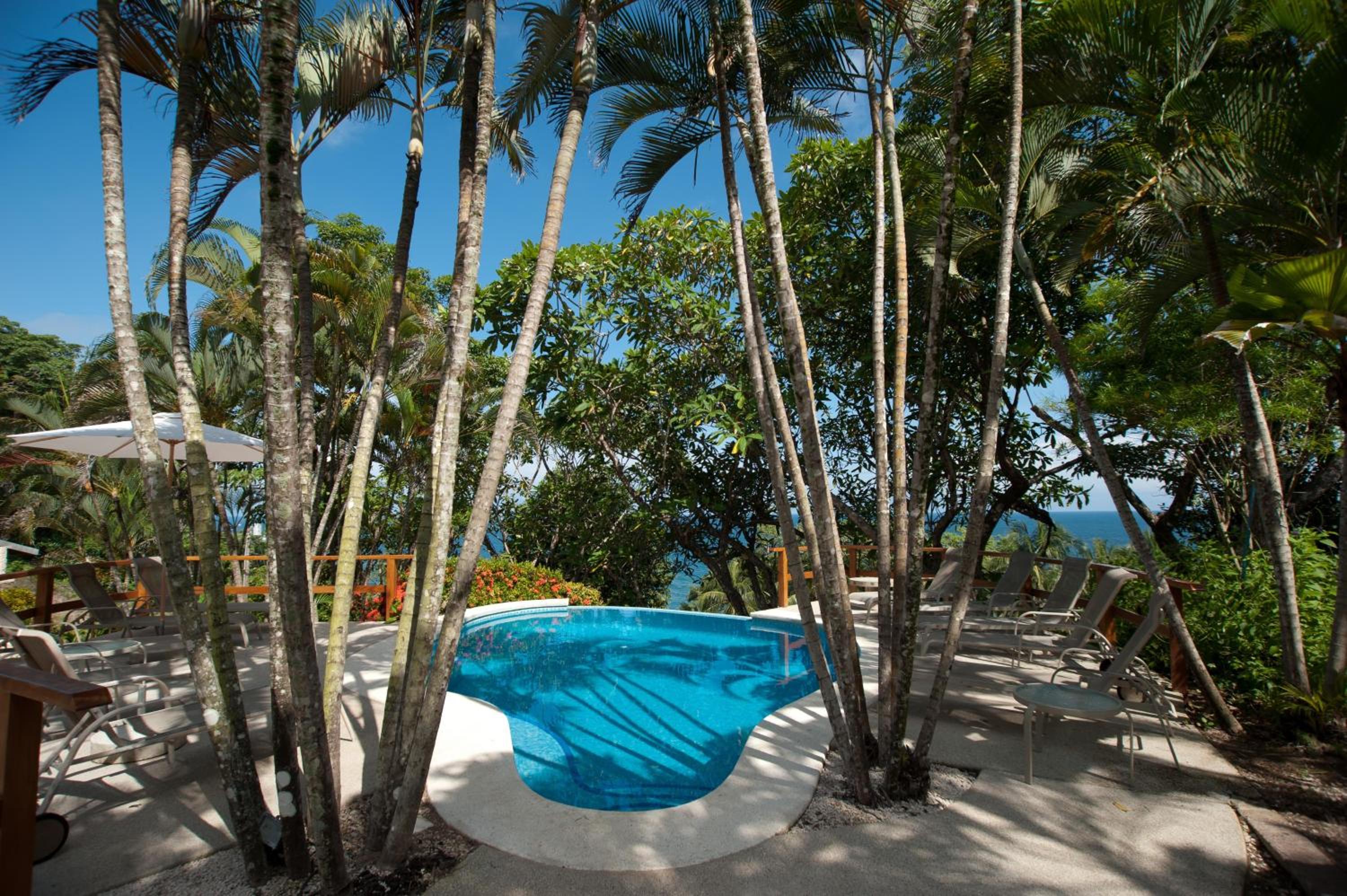 Tropical Suite - Photo 6