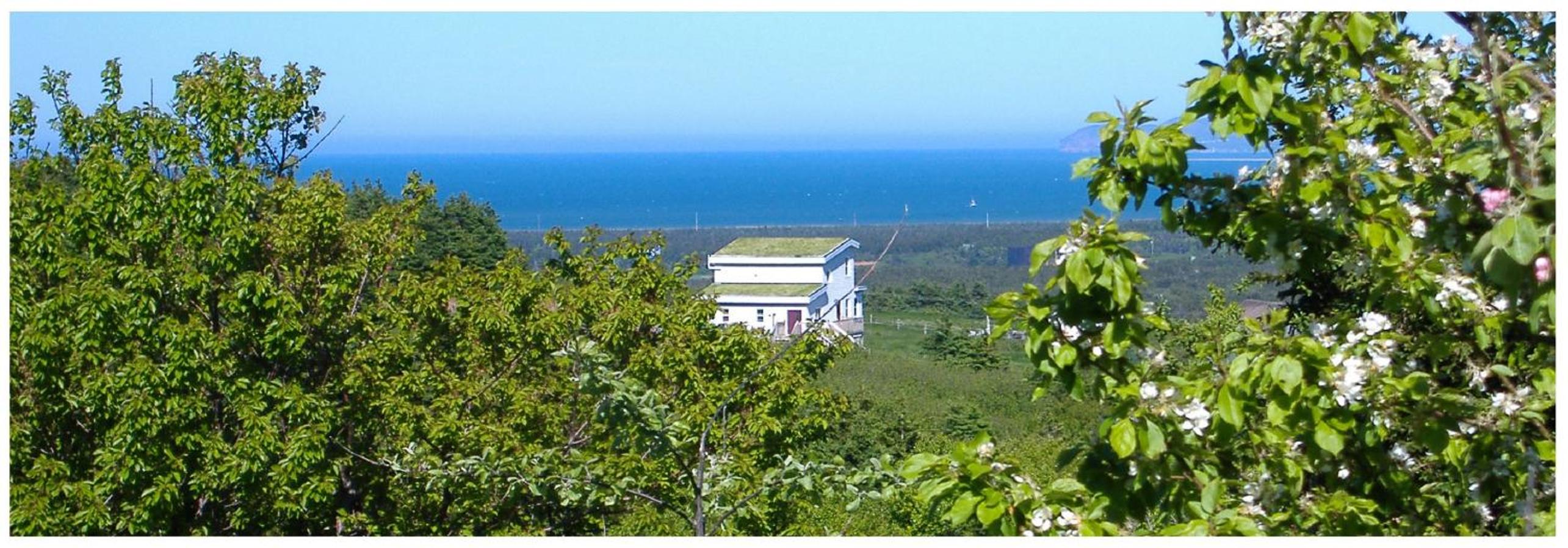 Double Room with Balcony and Sea View photo 3