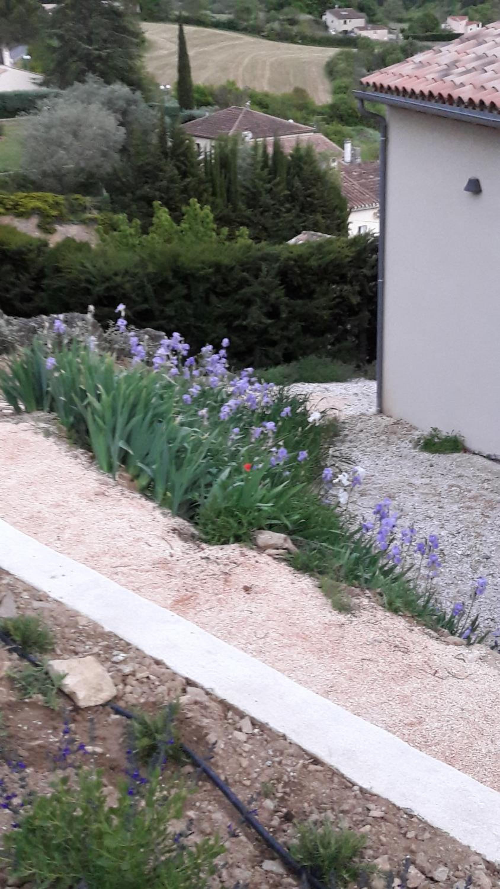 Holiday Home photo 1