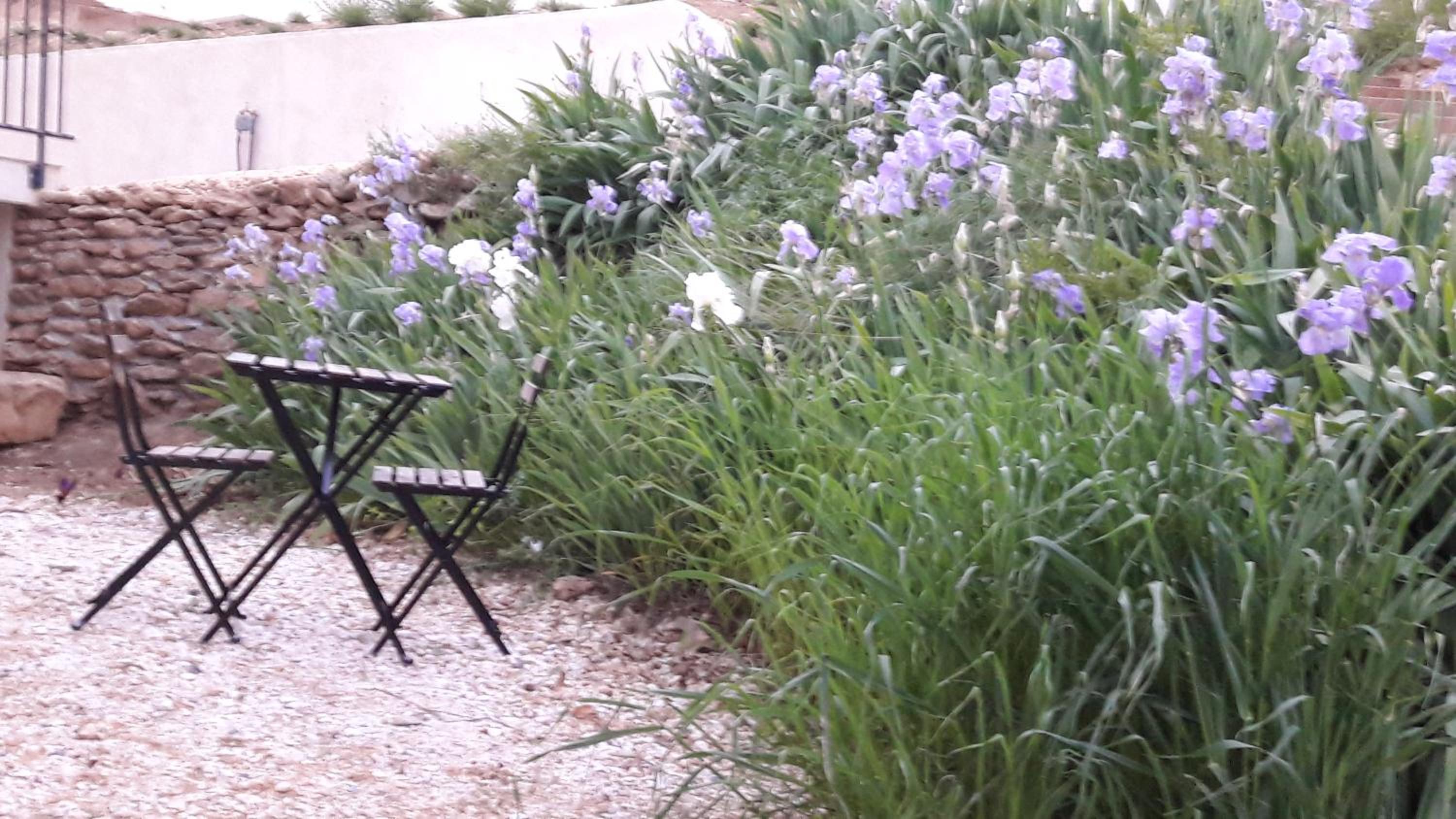 Holiday Home photo 2