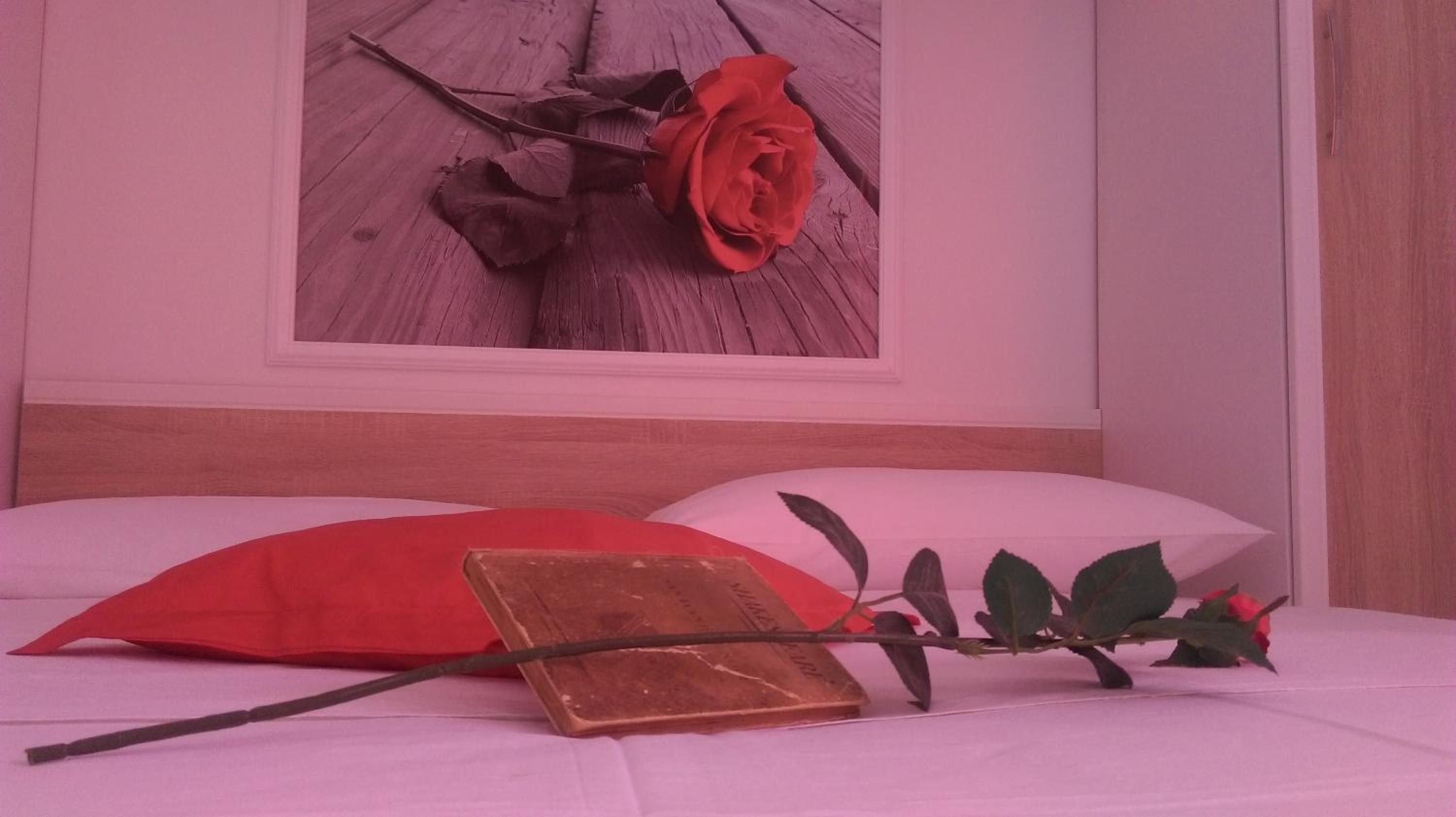 Apartamento - Duplex