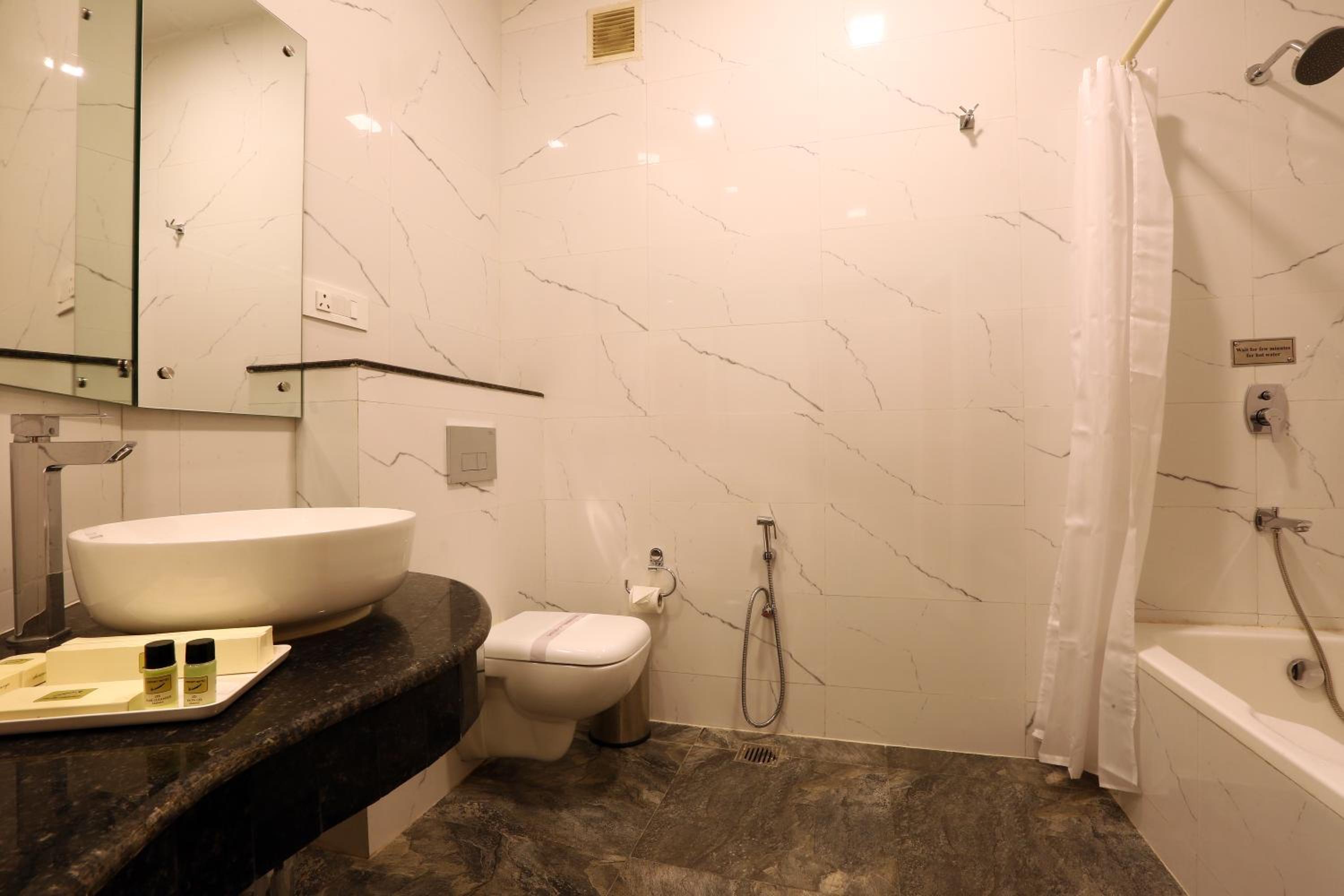 Luxury Room photo 2