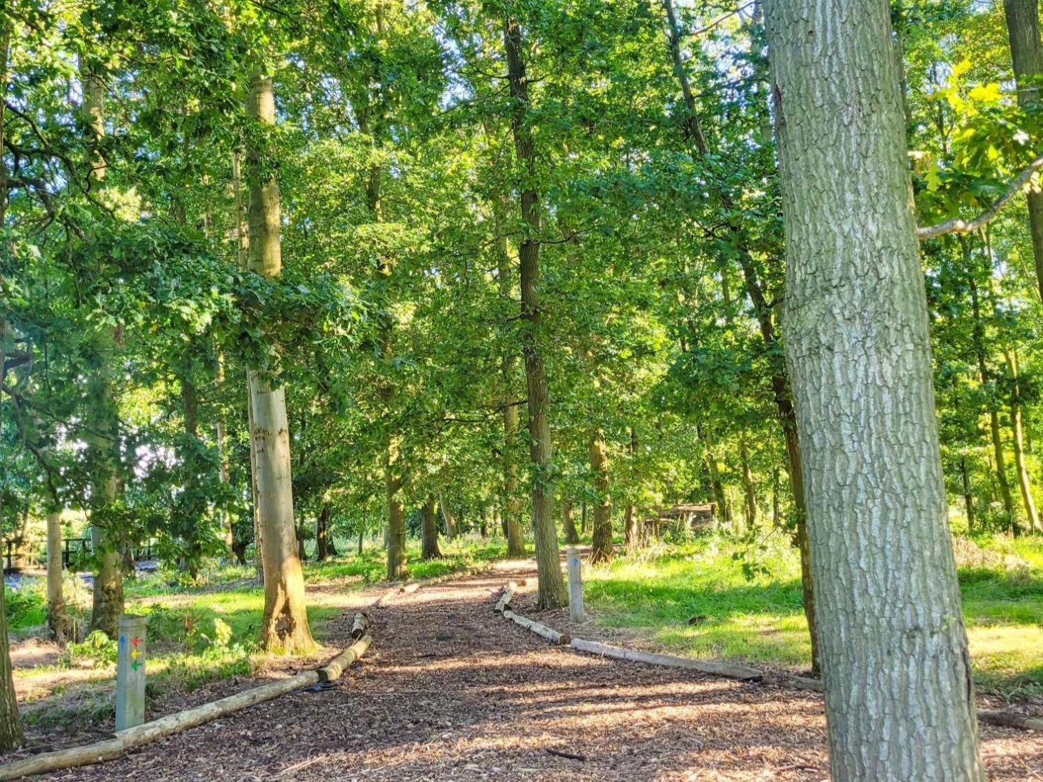 Hay's Wood Retreat - Feriehus, Billede 23
