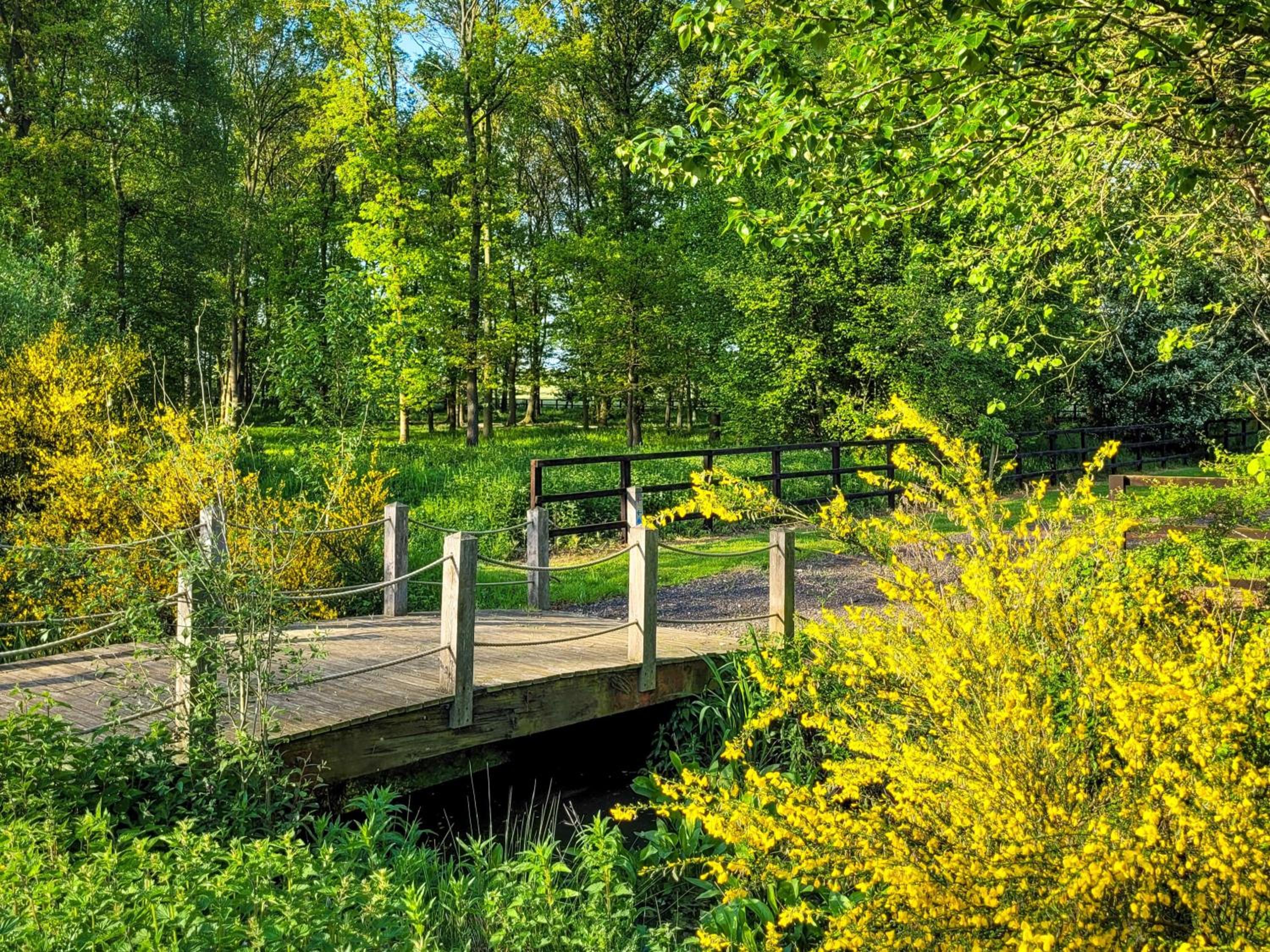 Hay's Wood Retreat - Feriehus, Billede 17