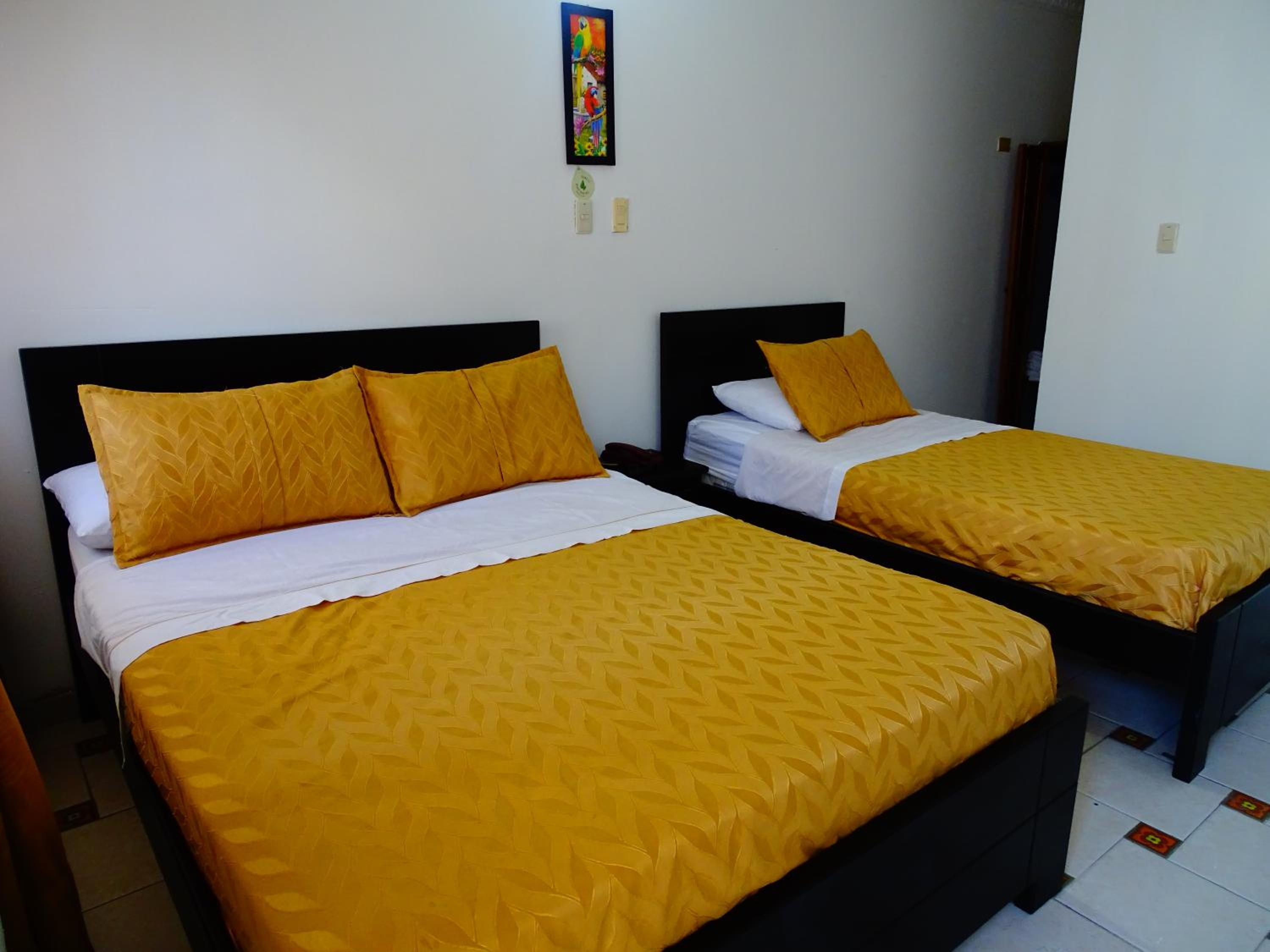 Triple Room photo 3