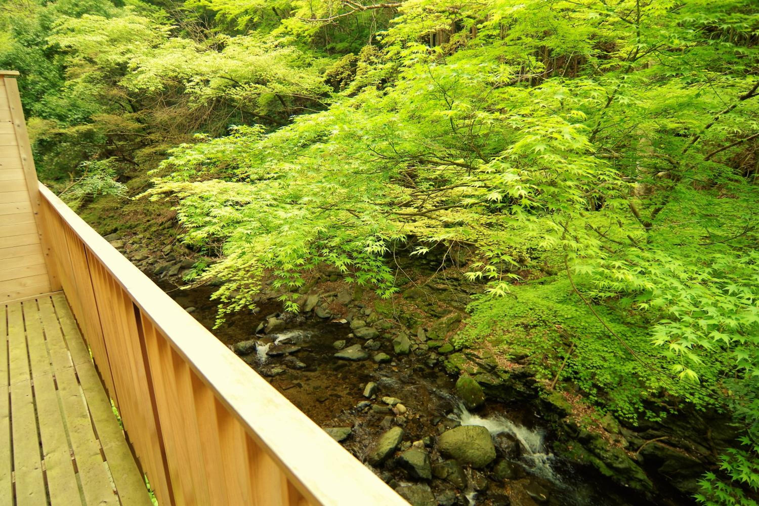 Superior Japanese-Style Room With River View And Shared Bath Room photo 3