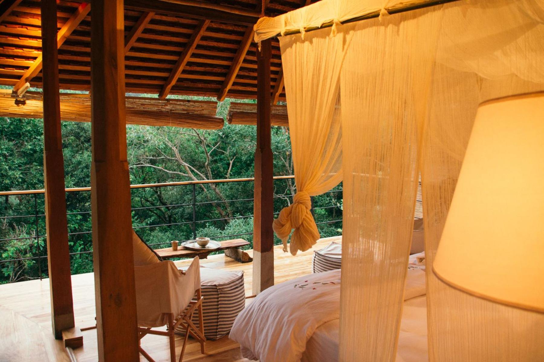 Forest Pavilion :2 adults (no extra beds or children possible) photo 1