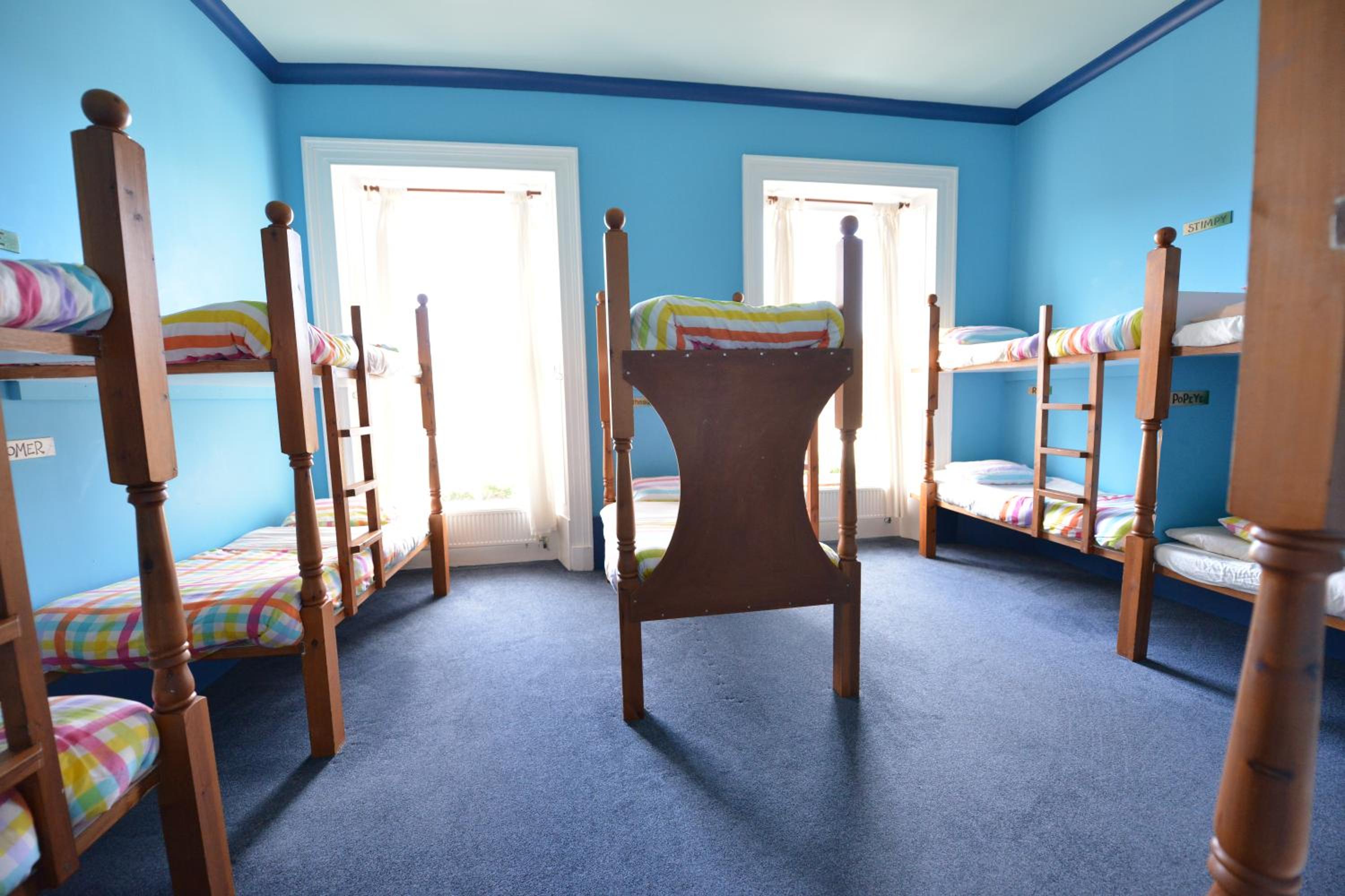 Bunk Bed in Mixed Dormitory Room photo 1