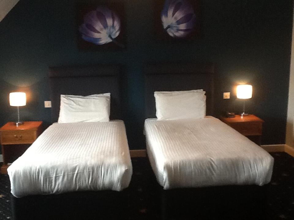 Executive Double or Twin Room