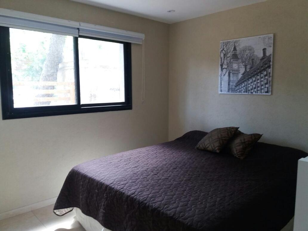 Studio Apartment photo 3
