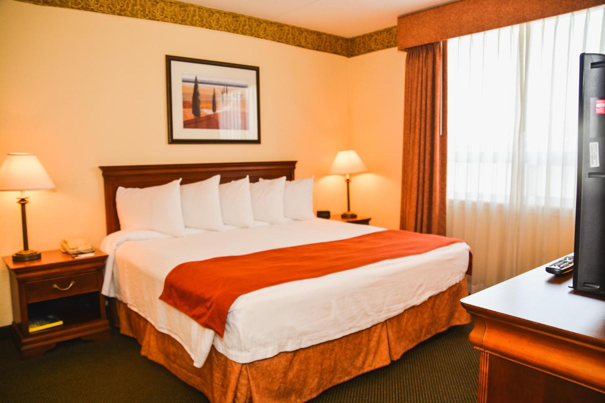 King Room