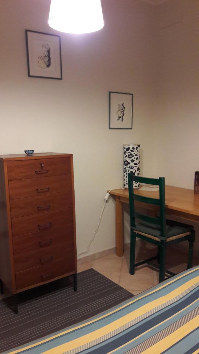 Single Room photo 2