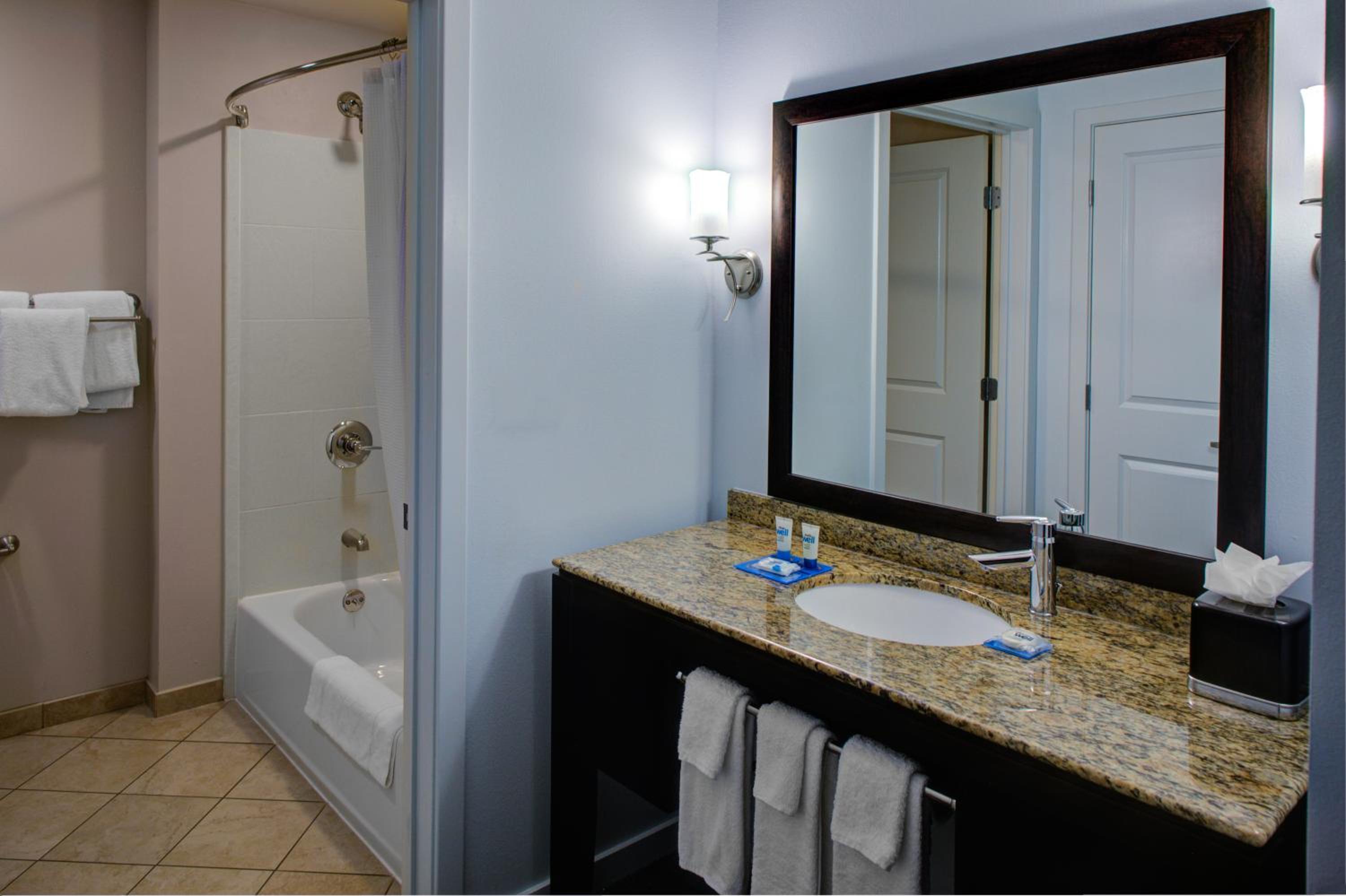 One-Bedroom Suite - Photo 5