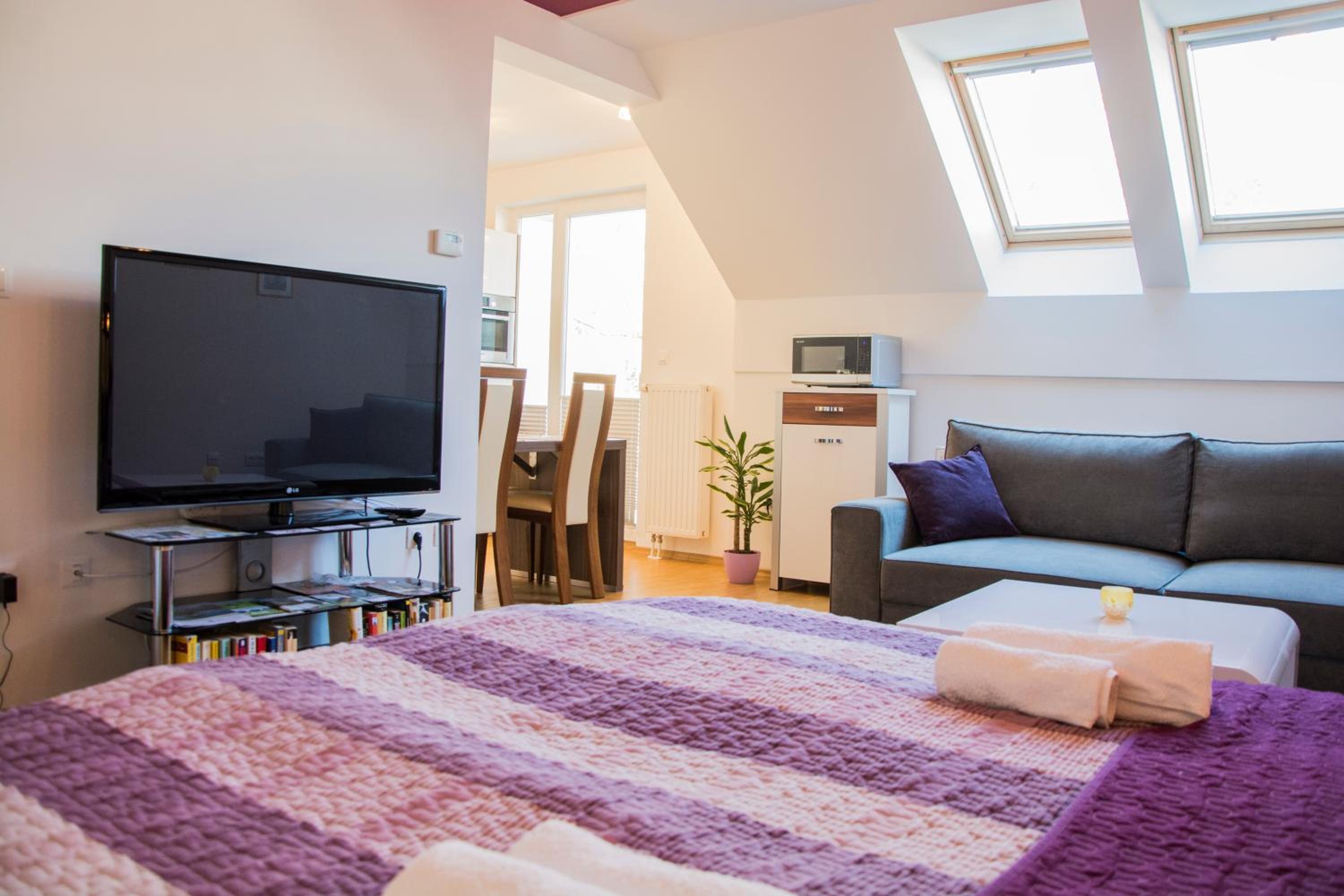 Studio Apartment photo 1