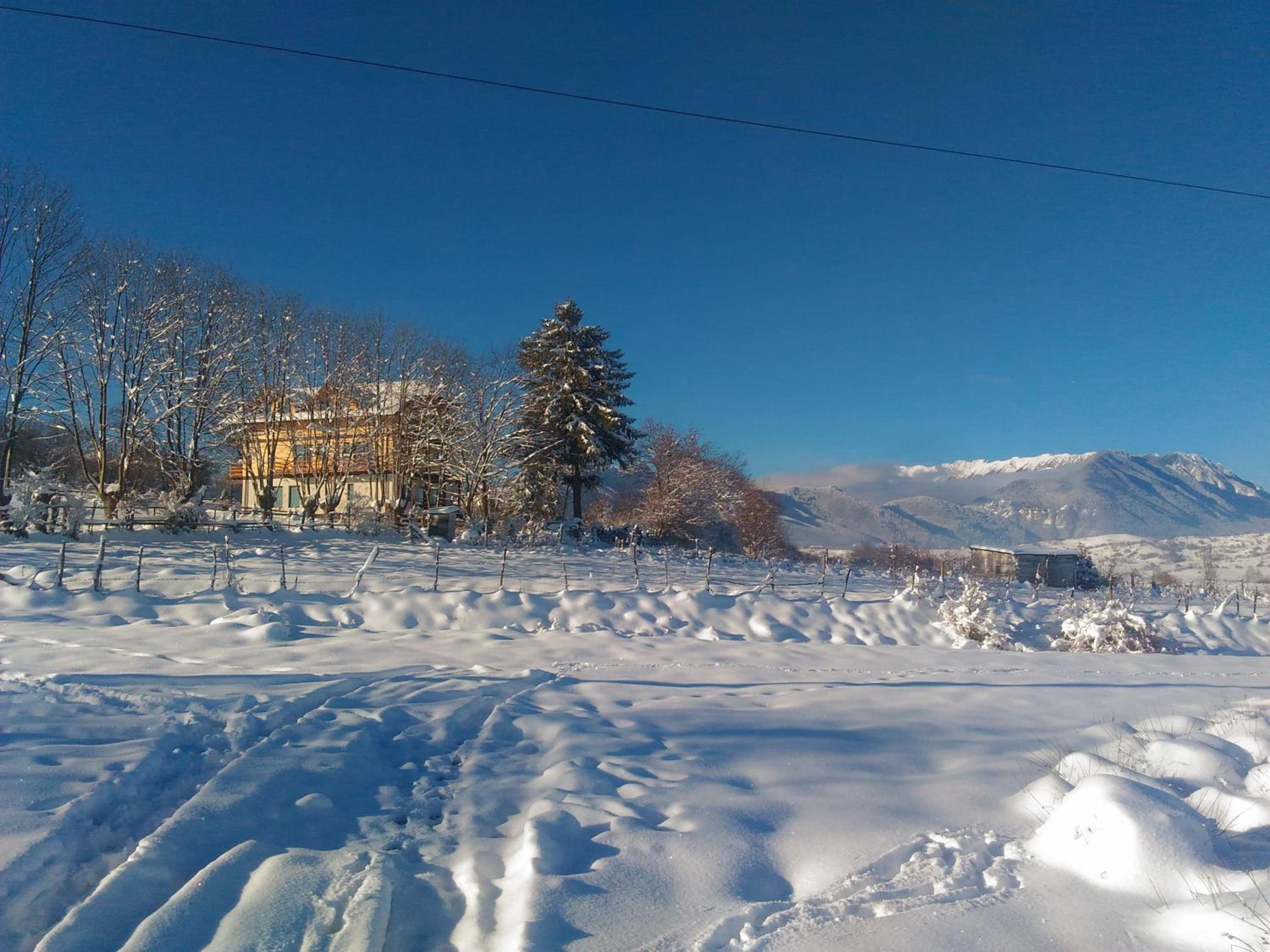 Villa - Photo 27