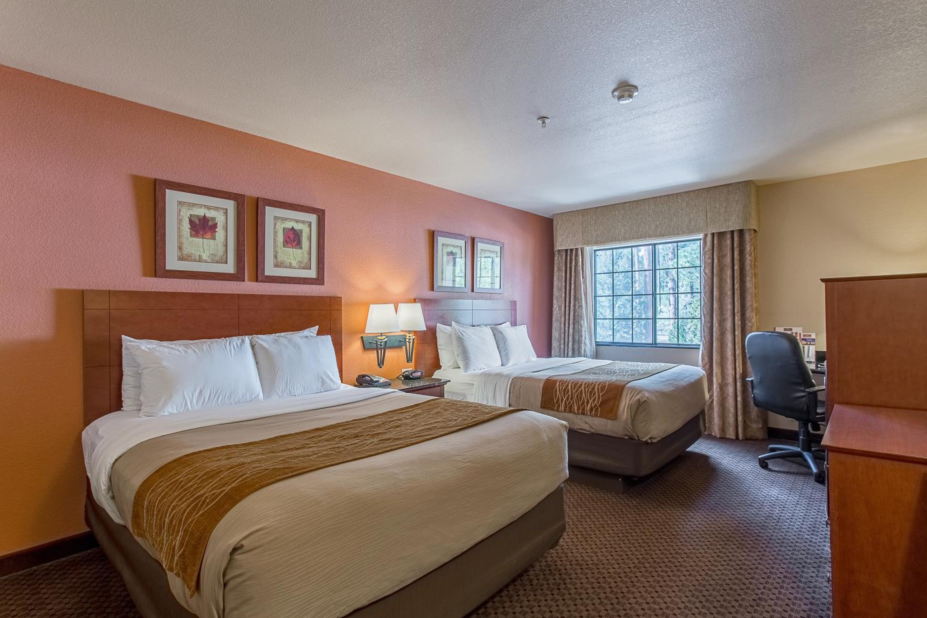 Queen Room with Two Queen Beds - Photo 4