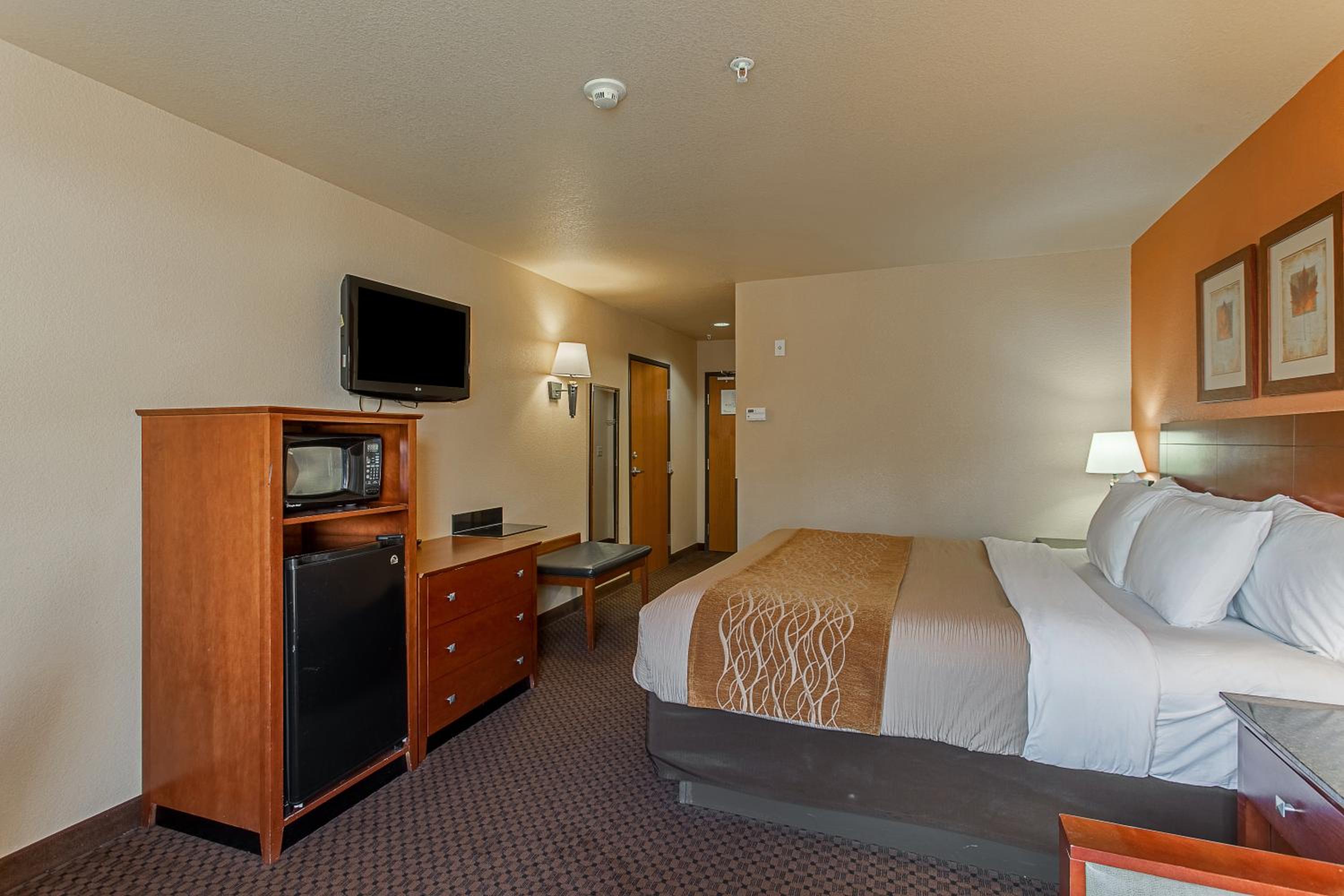 King Suite - Photo 1