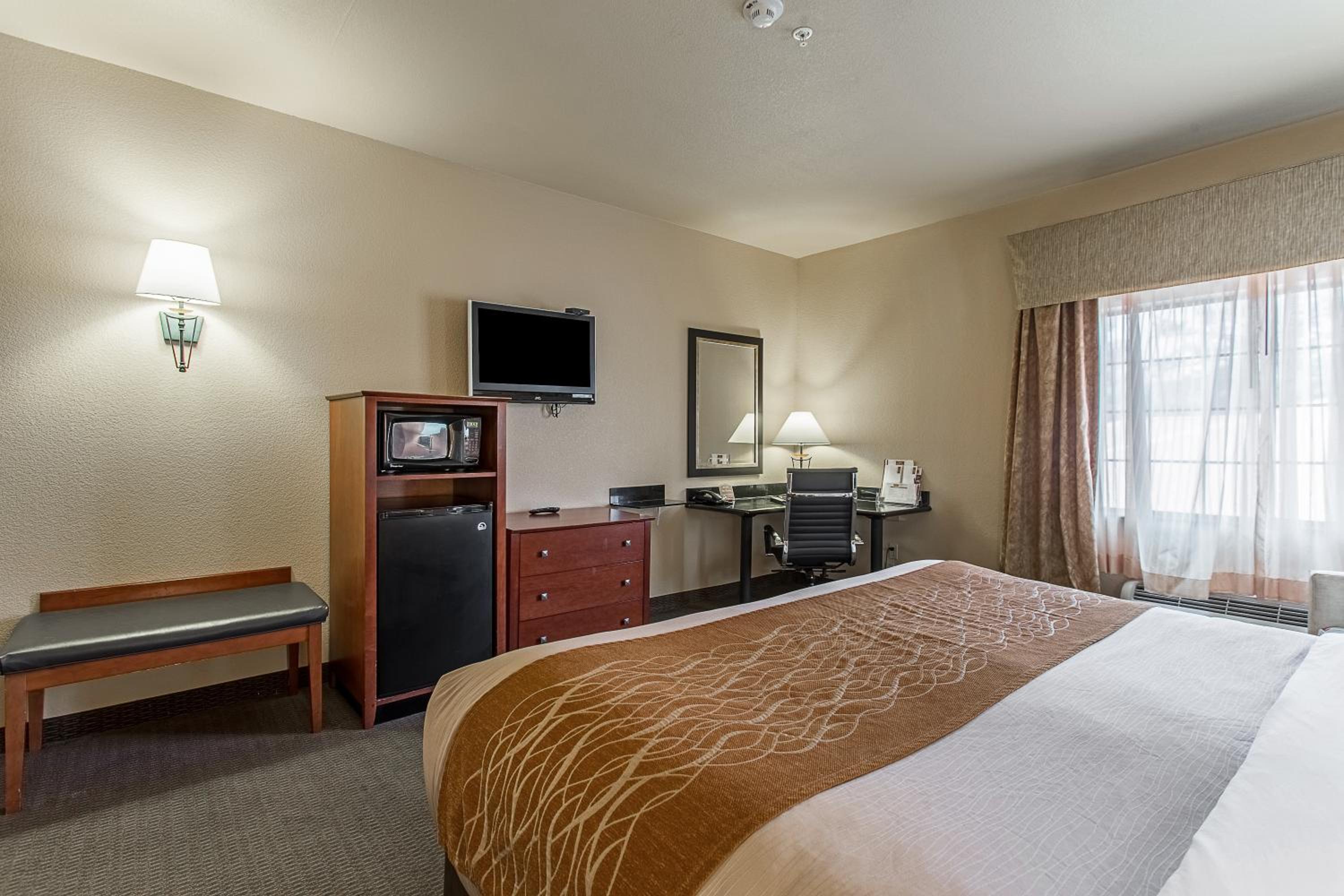King Suite - Photo 4