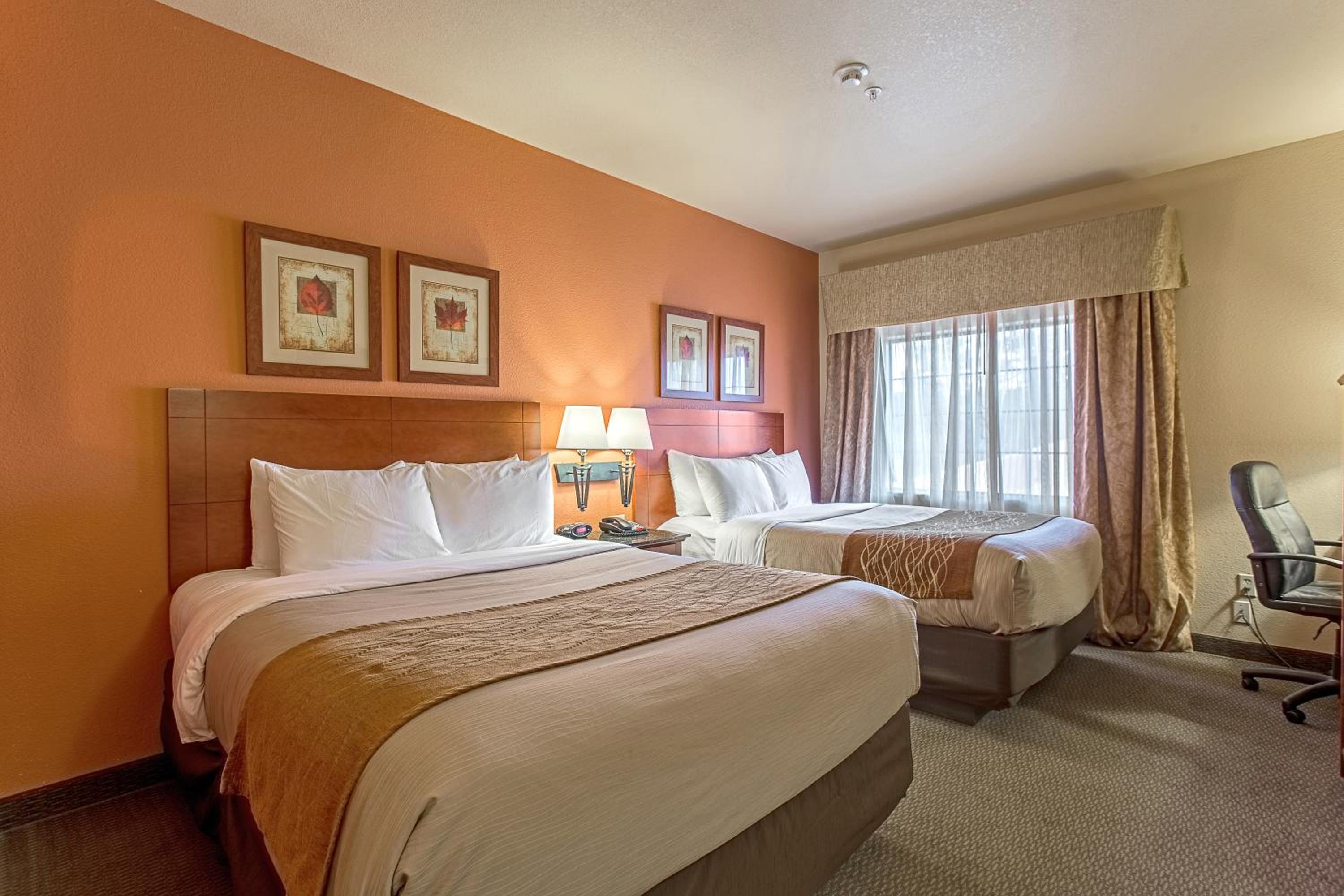 Queen Room with Two Queen Beds - Photo 6