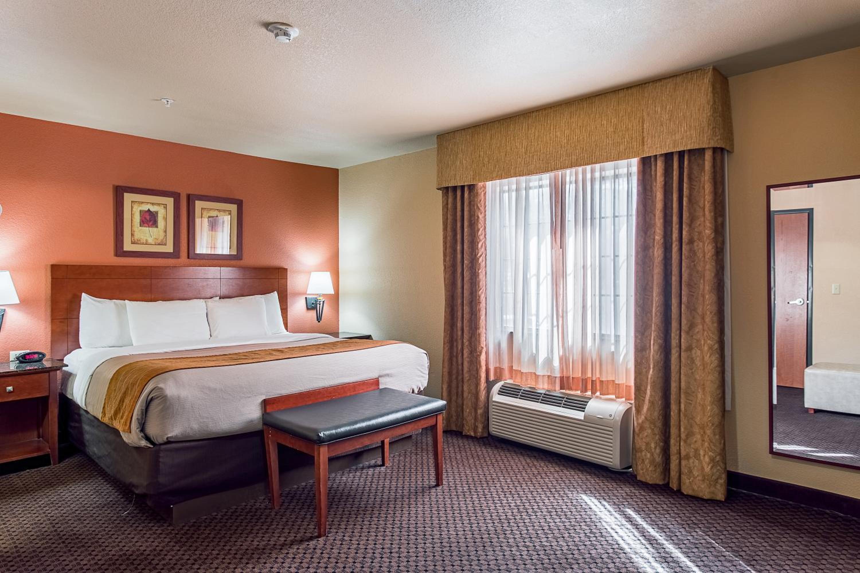 One-Bedroom Suite