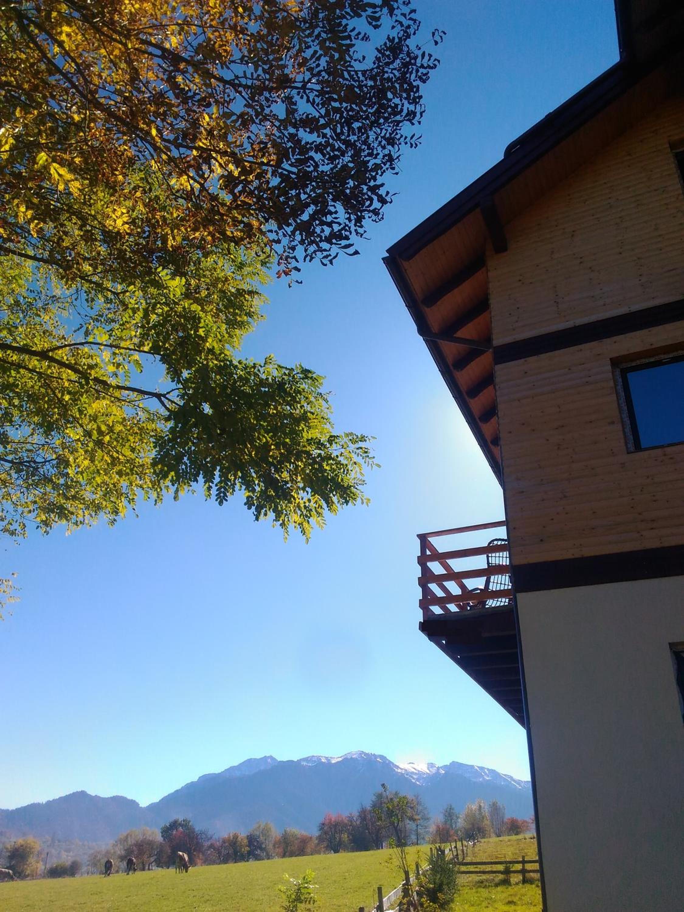 Villa - Photo 3