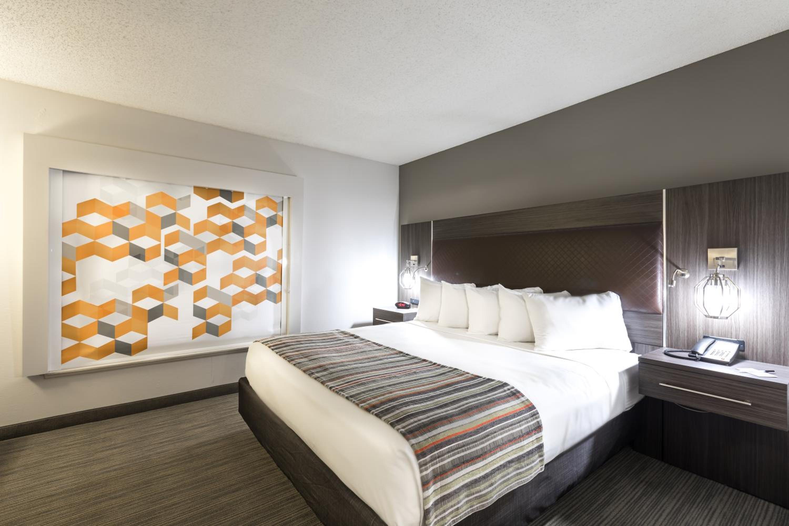 One-Bedroom King Suite - Photo 4