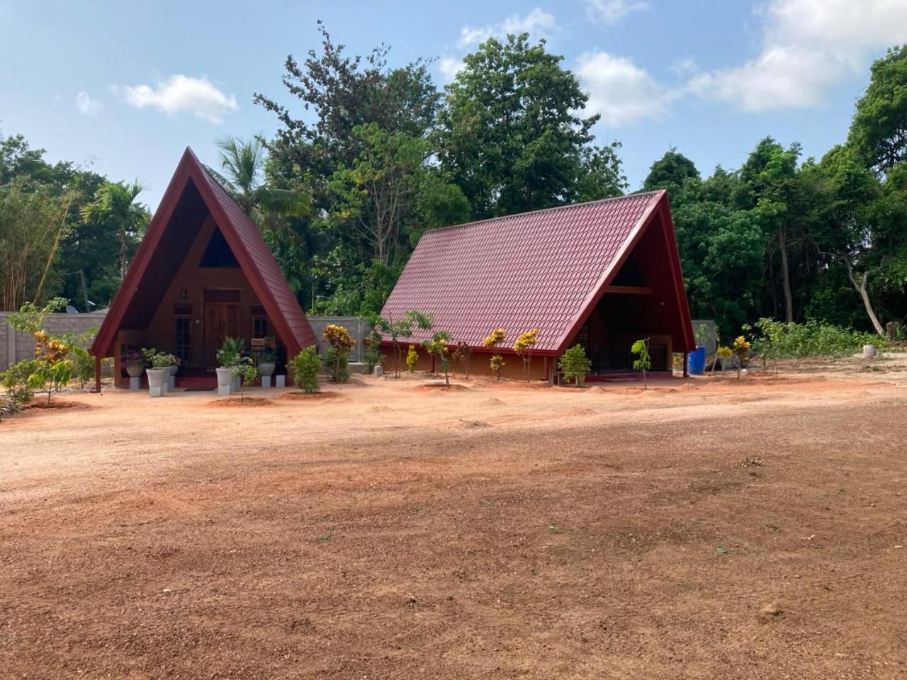 Family Bungalow photo 3