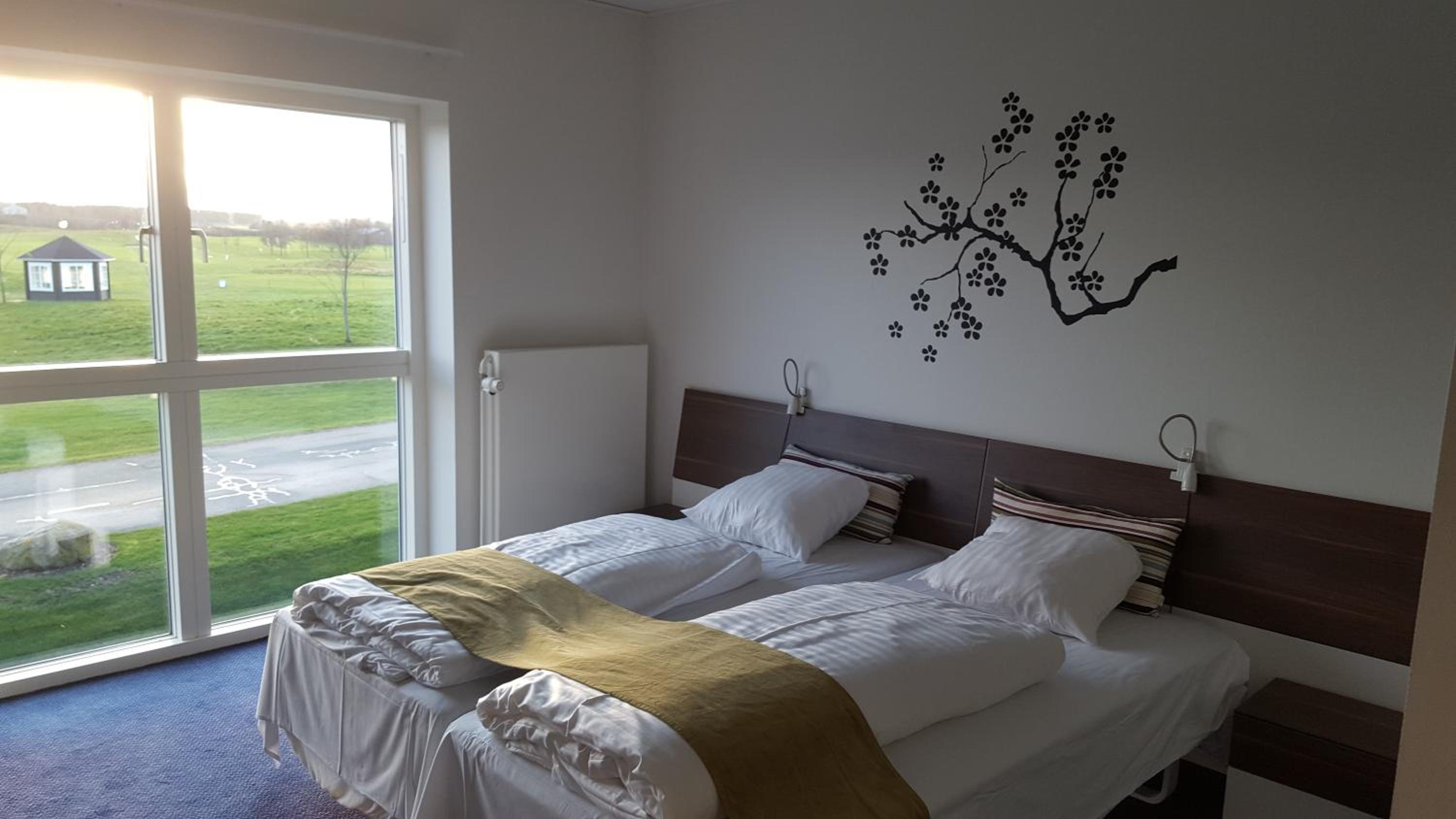 Double or Twin Room photo 3