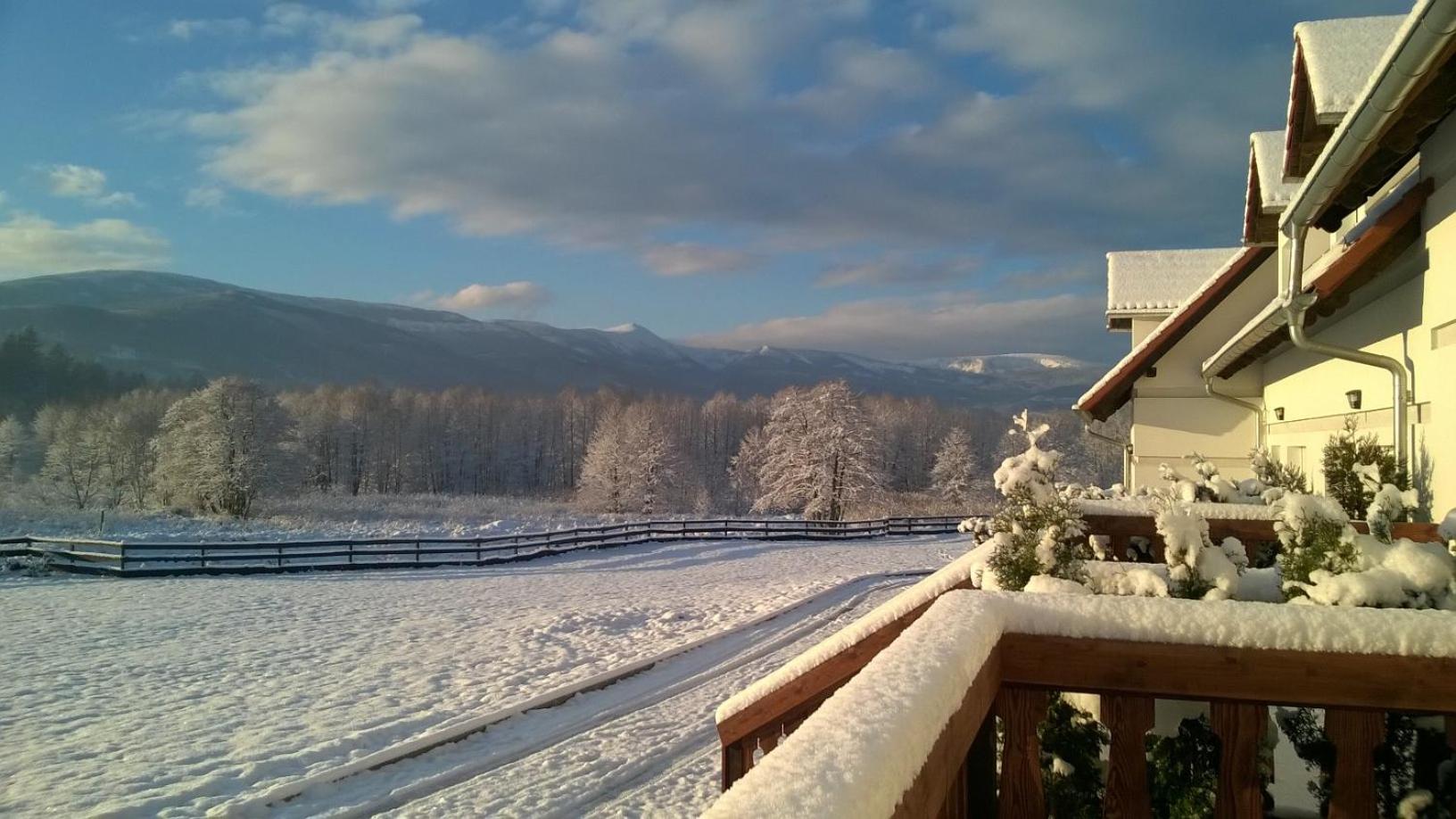Two-Bedroom Chalet - Photo 9