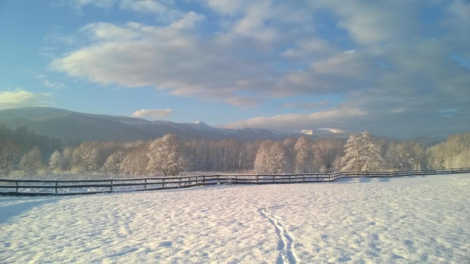 Two-Bedroom Chalet - Photo 22