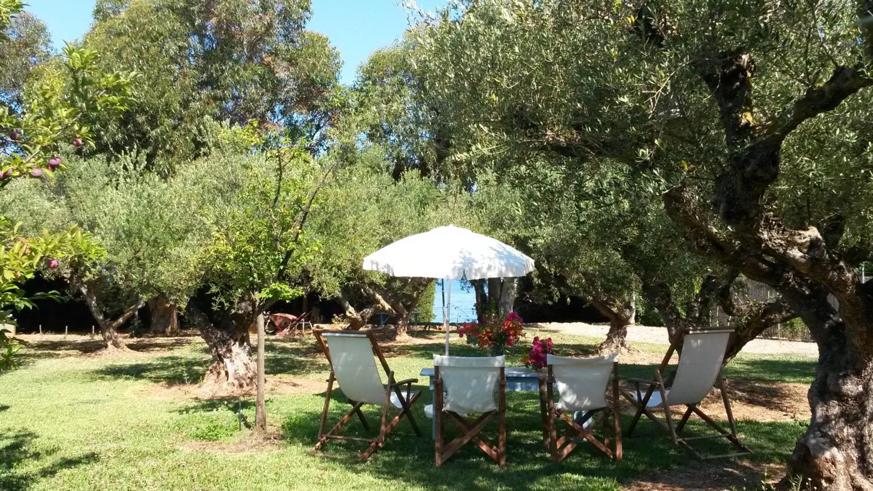 Villa with Sea View photo 2