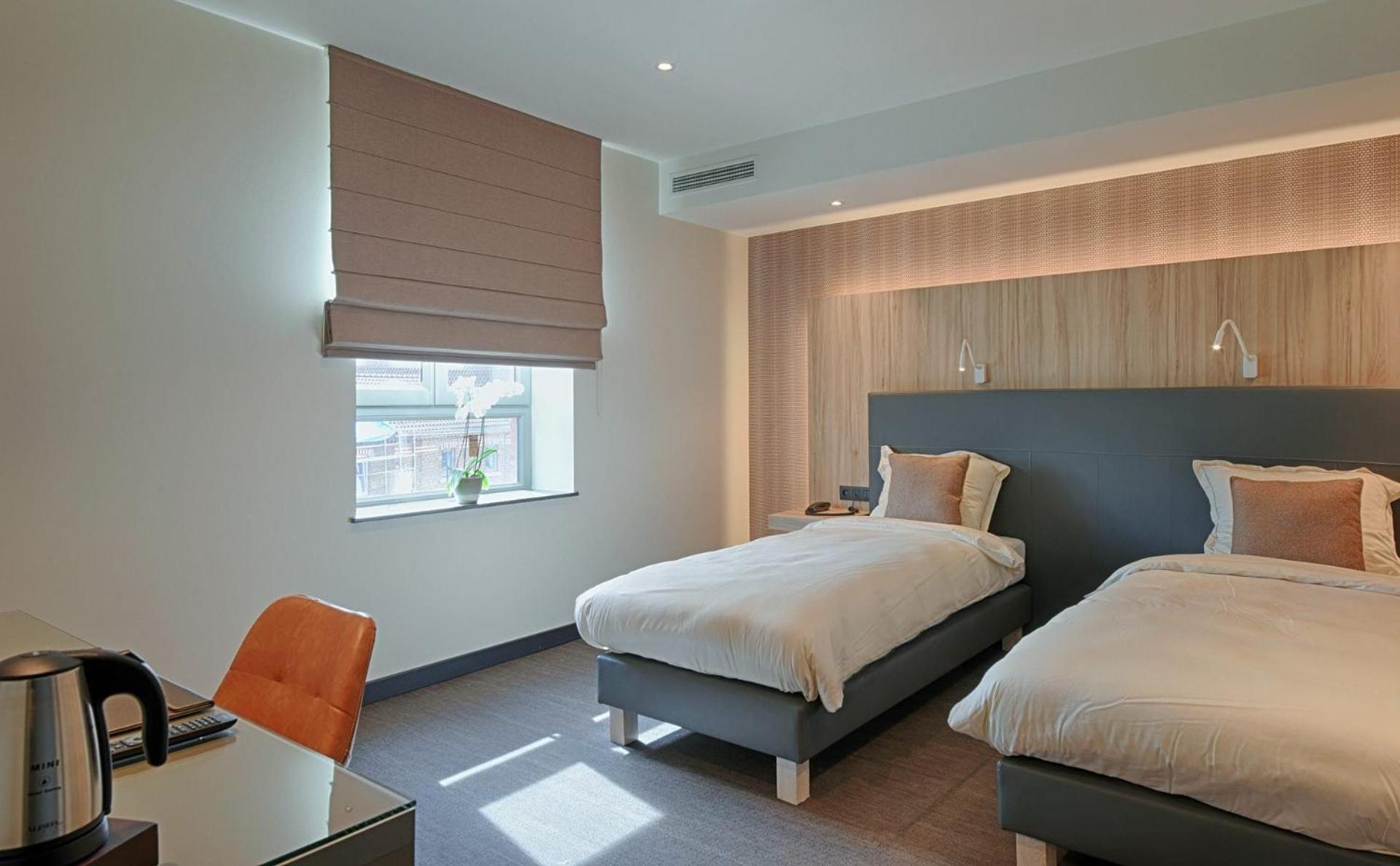 Deluxe Double or Twin Room photo 3