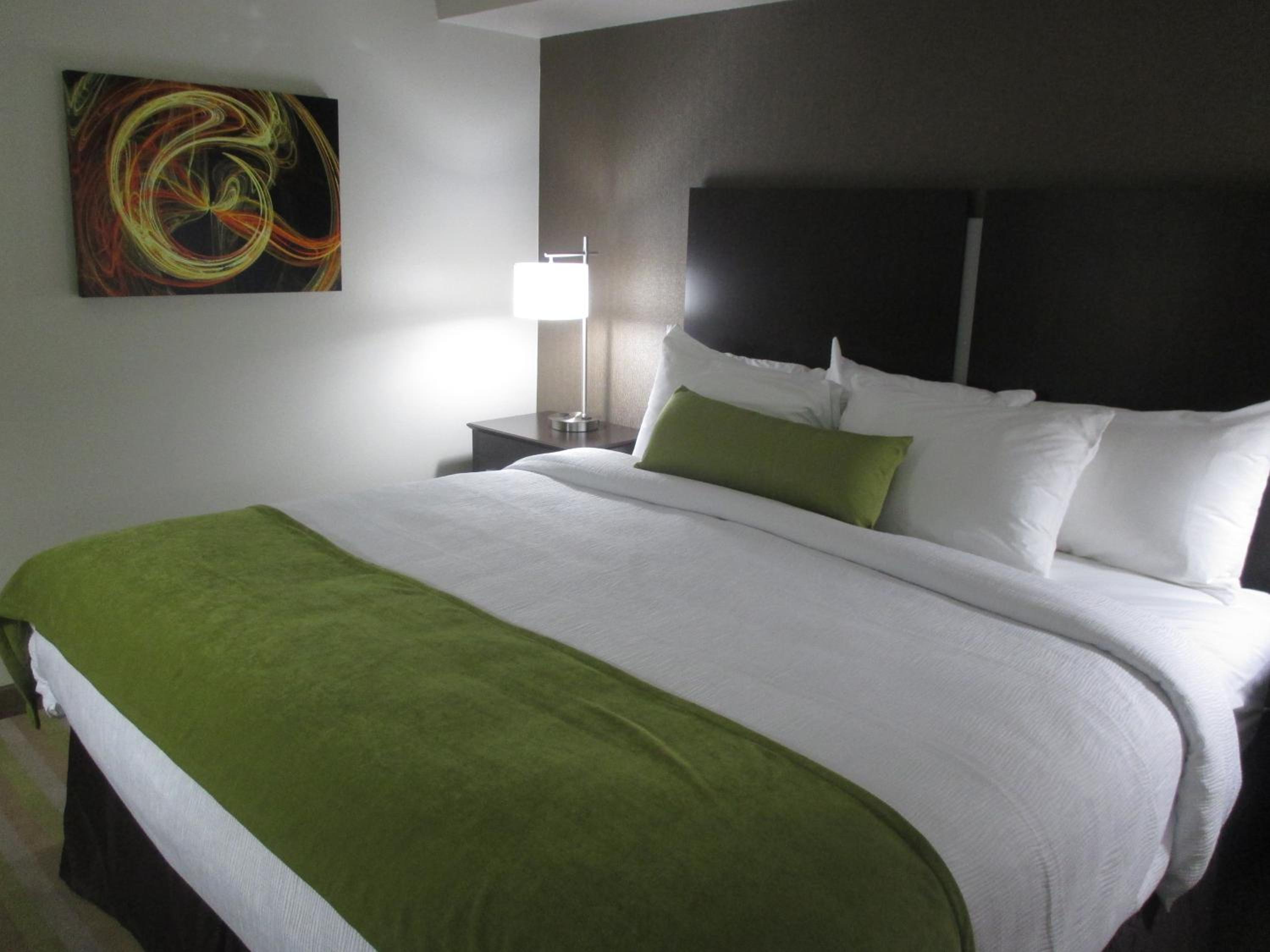 One-Bedroom King Suite with Sofa Bed photo 2